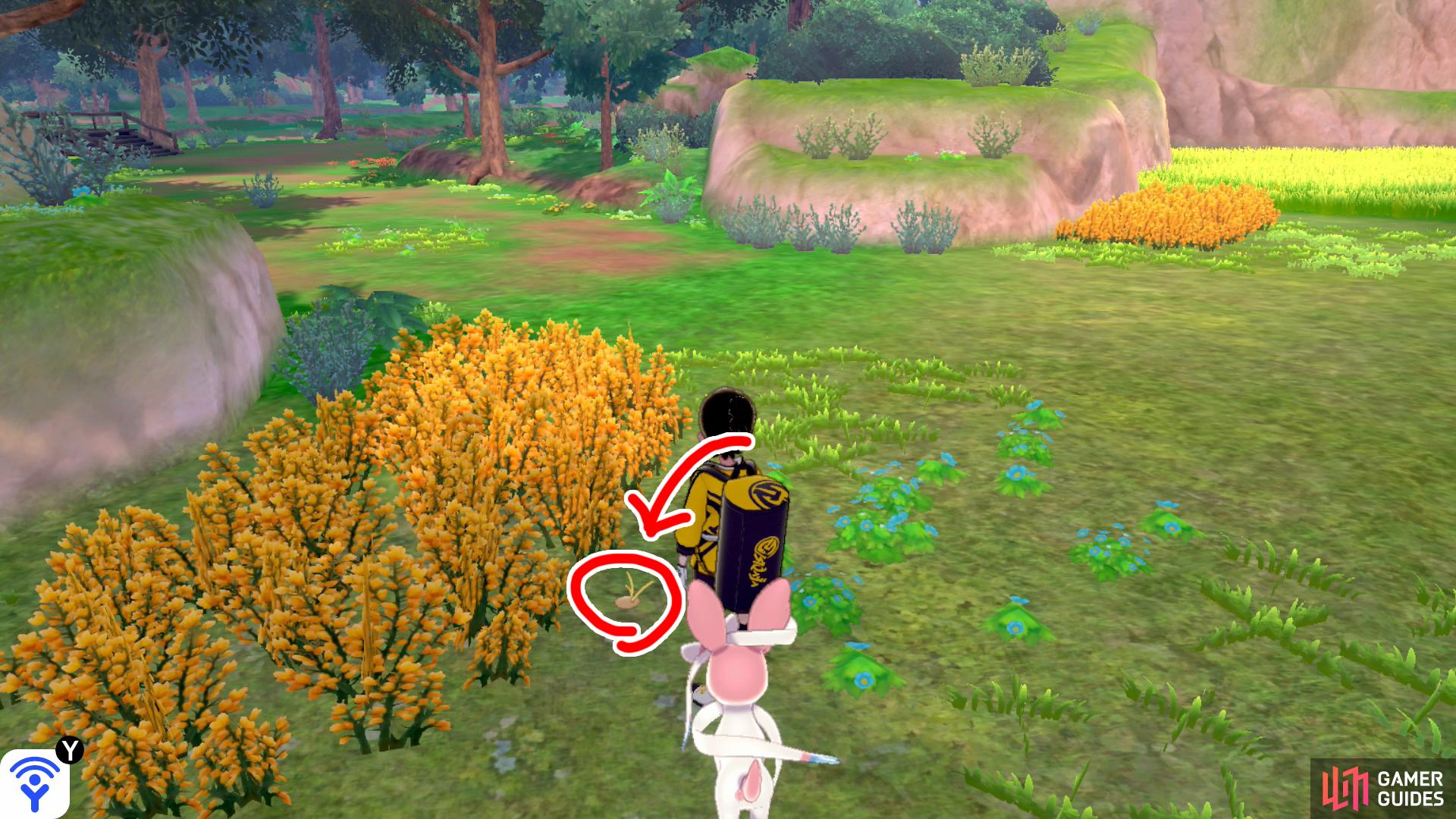 16/20: From Diglett 15, go towards the tree by the forest entrance. Past the tree, check the right side of the tall yellow grass in front of the forest.