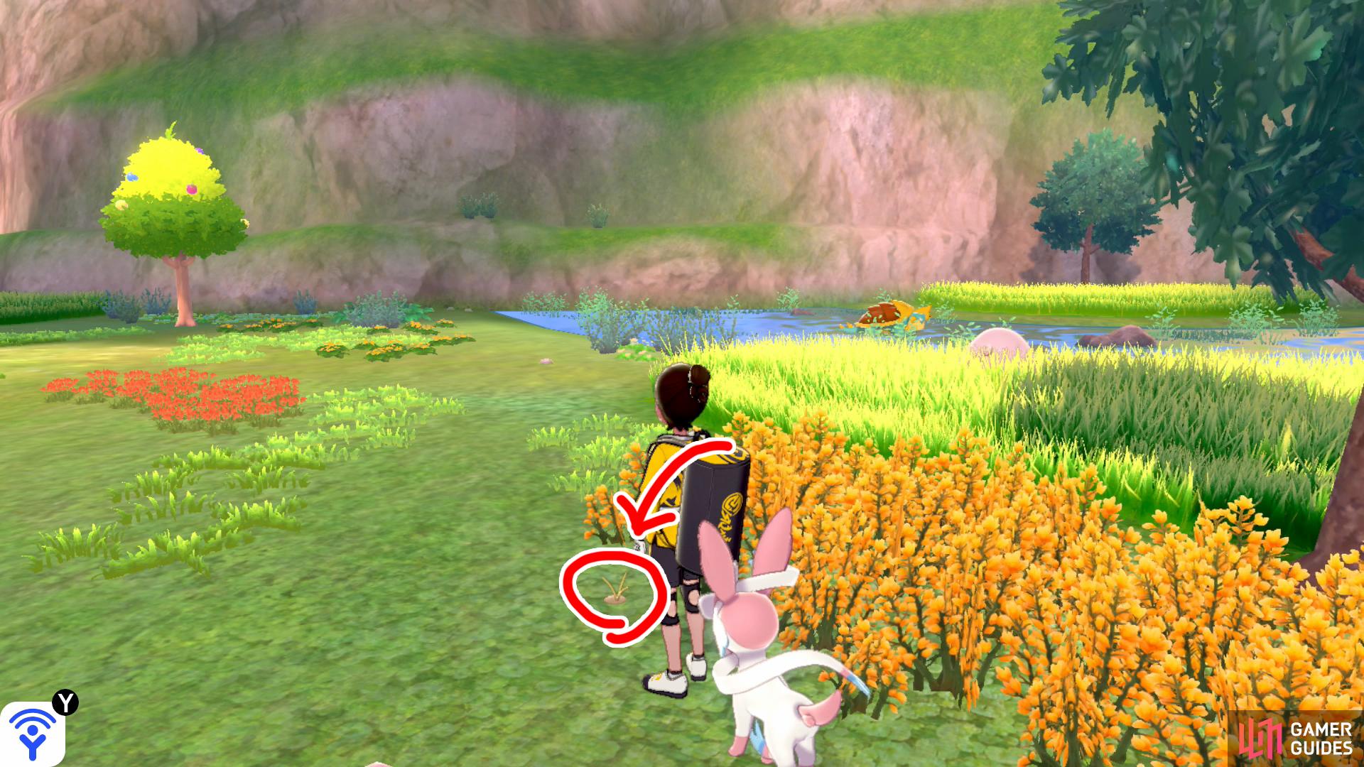 19/20: From Diglett 18, face the wall on the left (while looking in the direction of Brawlers' Cave). There's some tall grass with red flowers in front of it. Go up to the grass and search the yellow grass on its left.