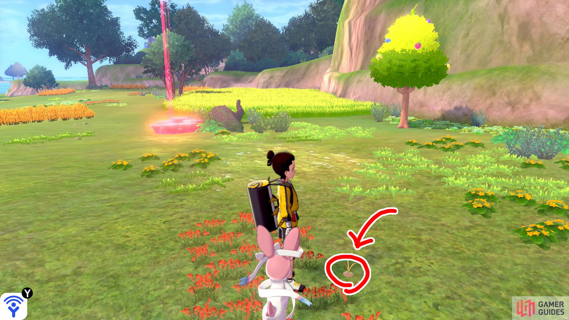 20/20: From Diglett 19, while you're still facing the nearby wall, towards the left, there's a red flowerbed that's parallel to a berry tree. Comb the edges of this flowerbed to find the last runaway mole.