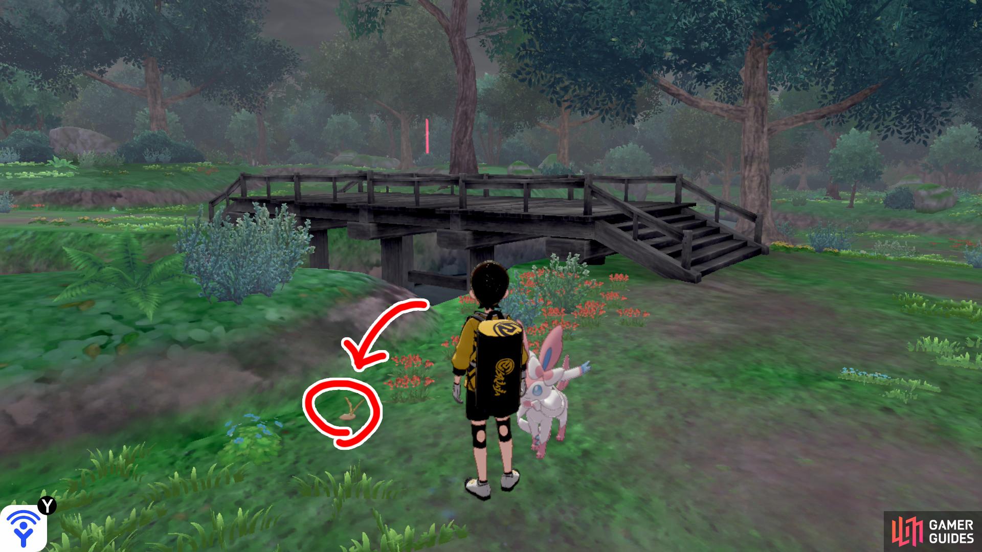 3/8: From Diglett 3, keep on following the forest until you reach the second bridge. Cross the bridge and turn right. It's hiding after the red flowers near the river.