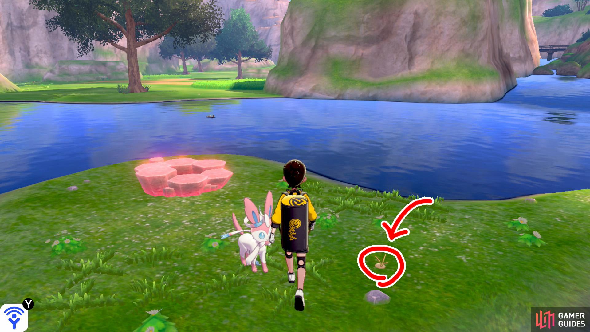 5/15: From Diglett 5, head into the lake and swim towards the island in the middle (with the Pokémon Den). It's next to a pebble, facing away from the rest of the lowlands.