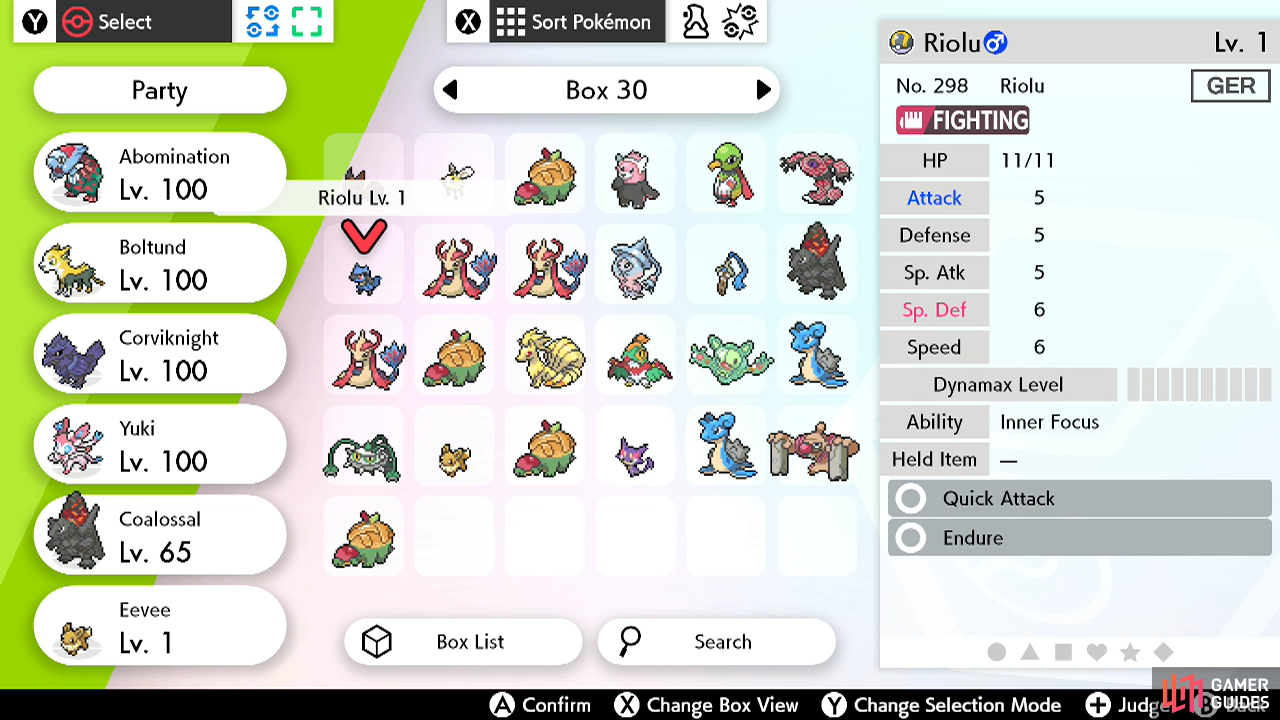 Breeding Basics - Raising Pokémon - Advanced Trainer Info