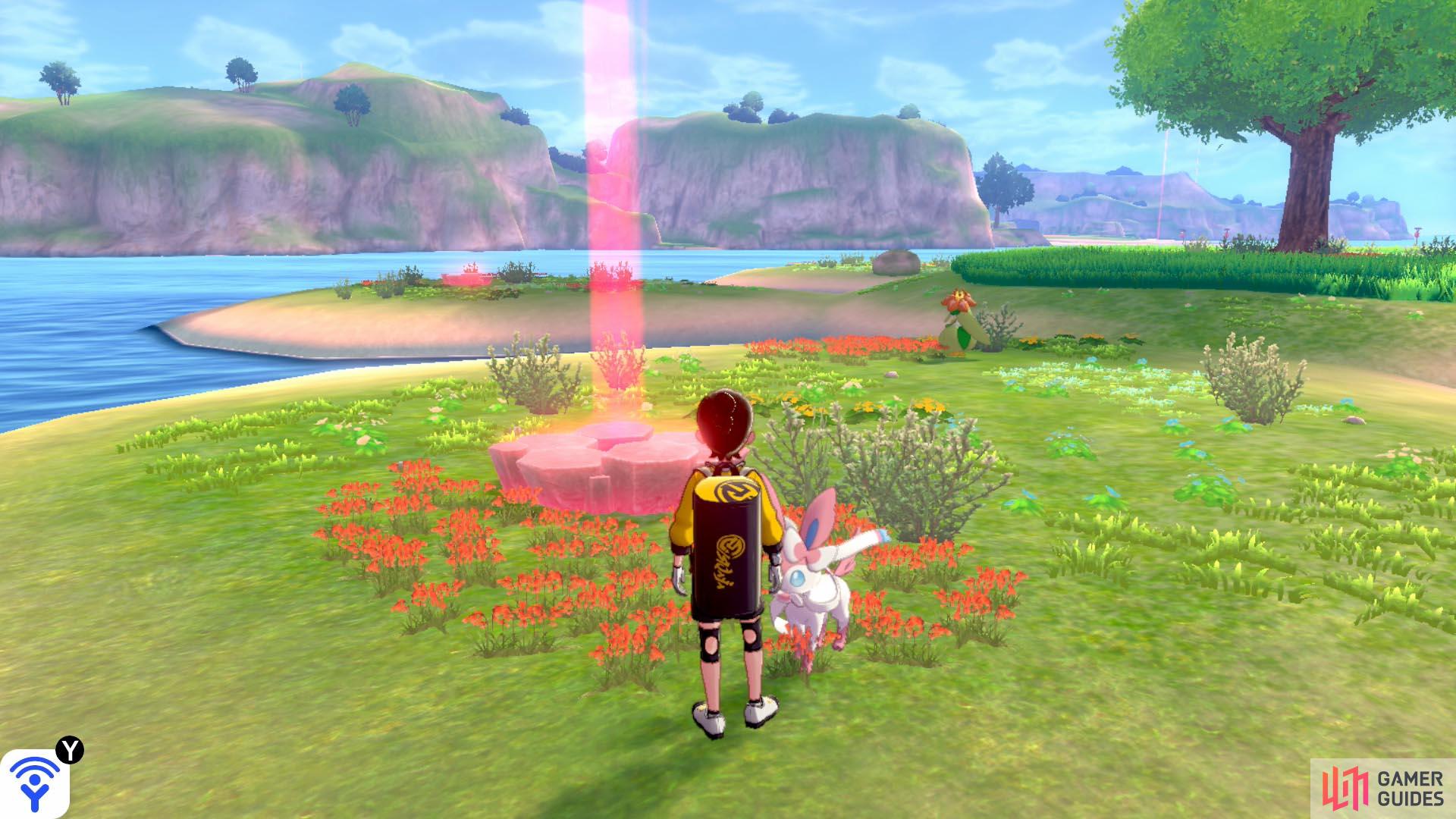 There are six dens, each located on one of the "petals" of the island. All dens feature the same list of Pokémon.