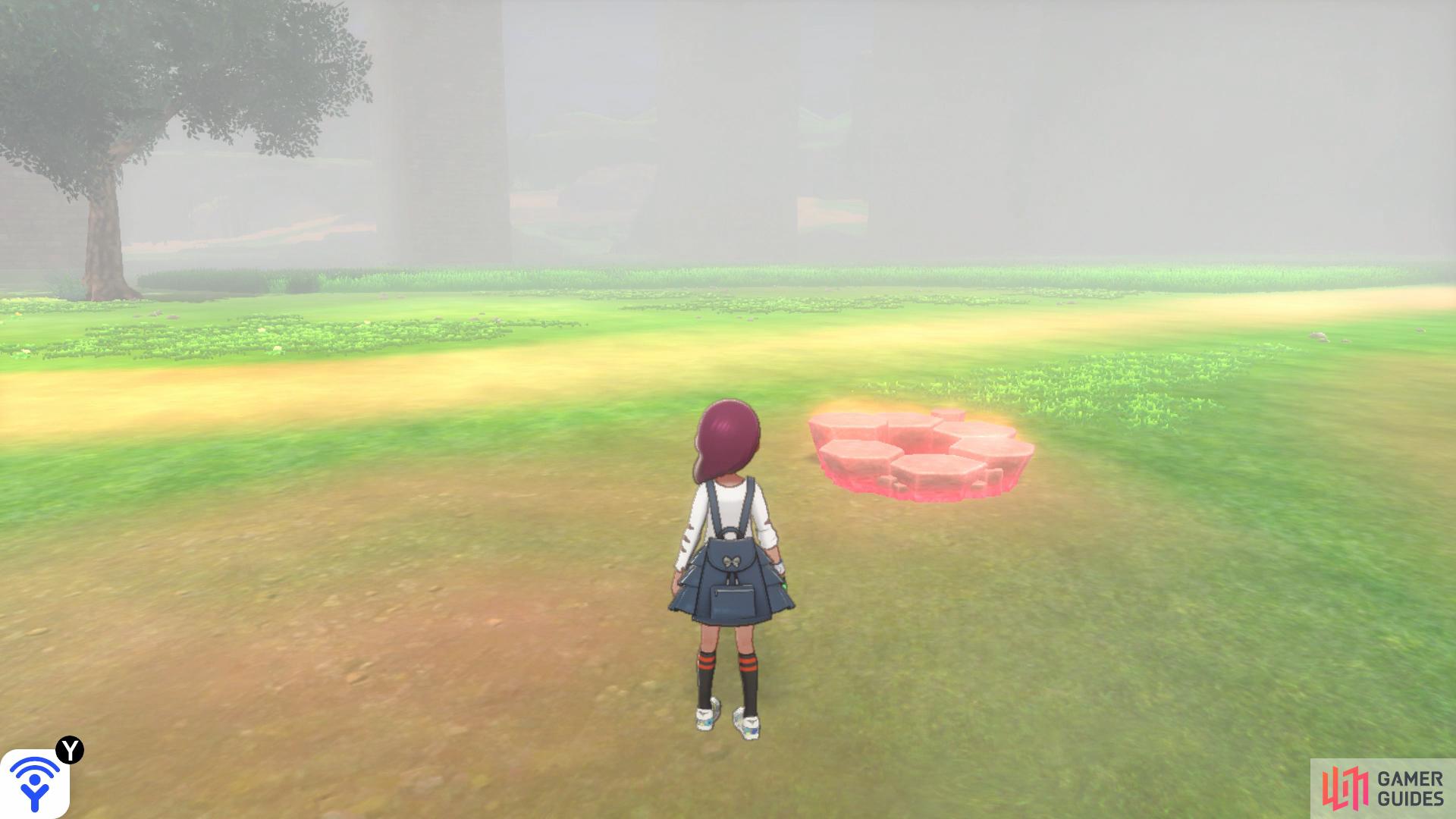 This den lies on the path leading east to the Pokémon Nursery.