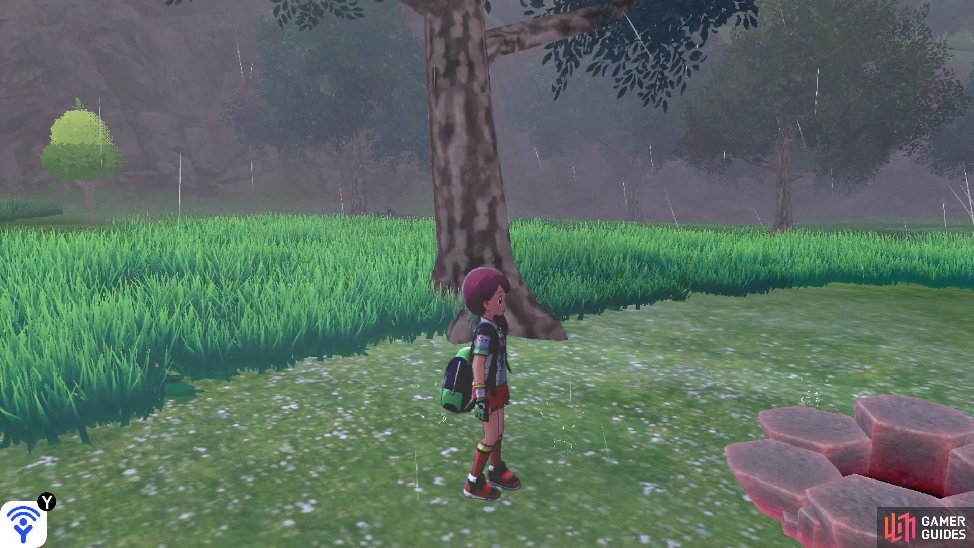 Head east of the first Berry Tree to find this Den