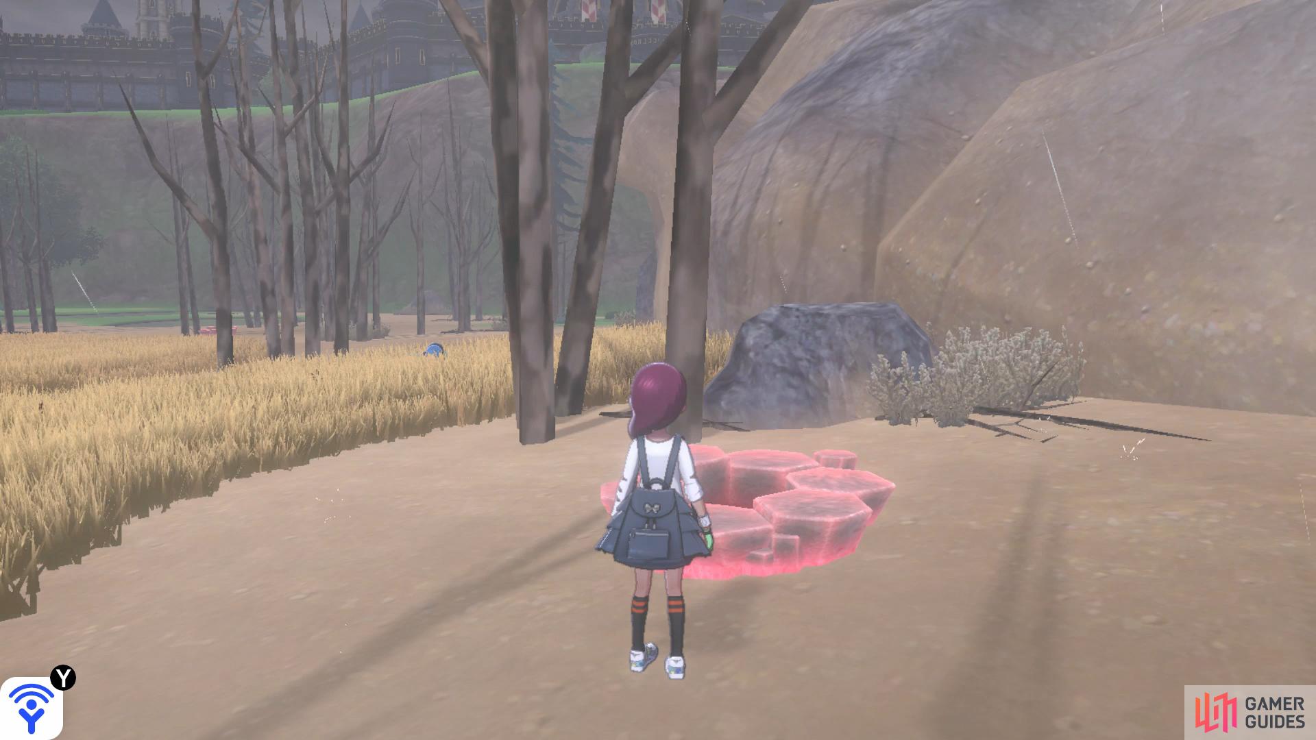 Search under the rock bridge to locate Den C