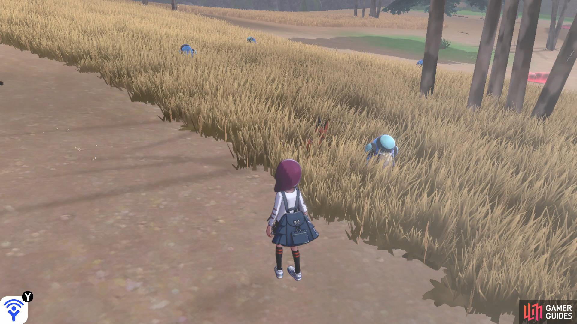 Pokémon: Sword & Shield Screenshot