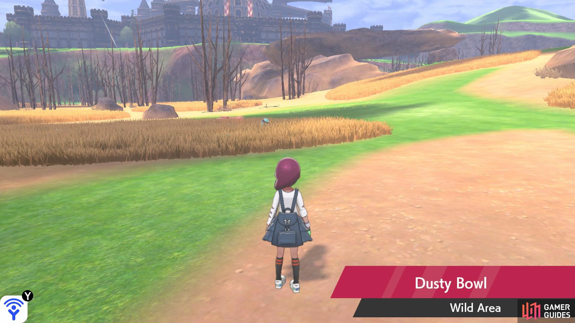 Pokemon Sword and Shield Wild Area brings co-op open world