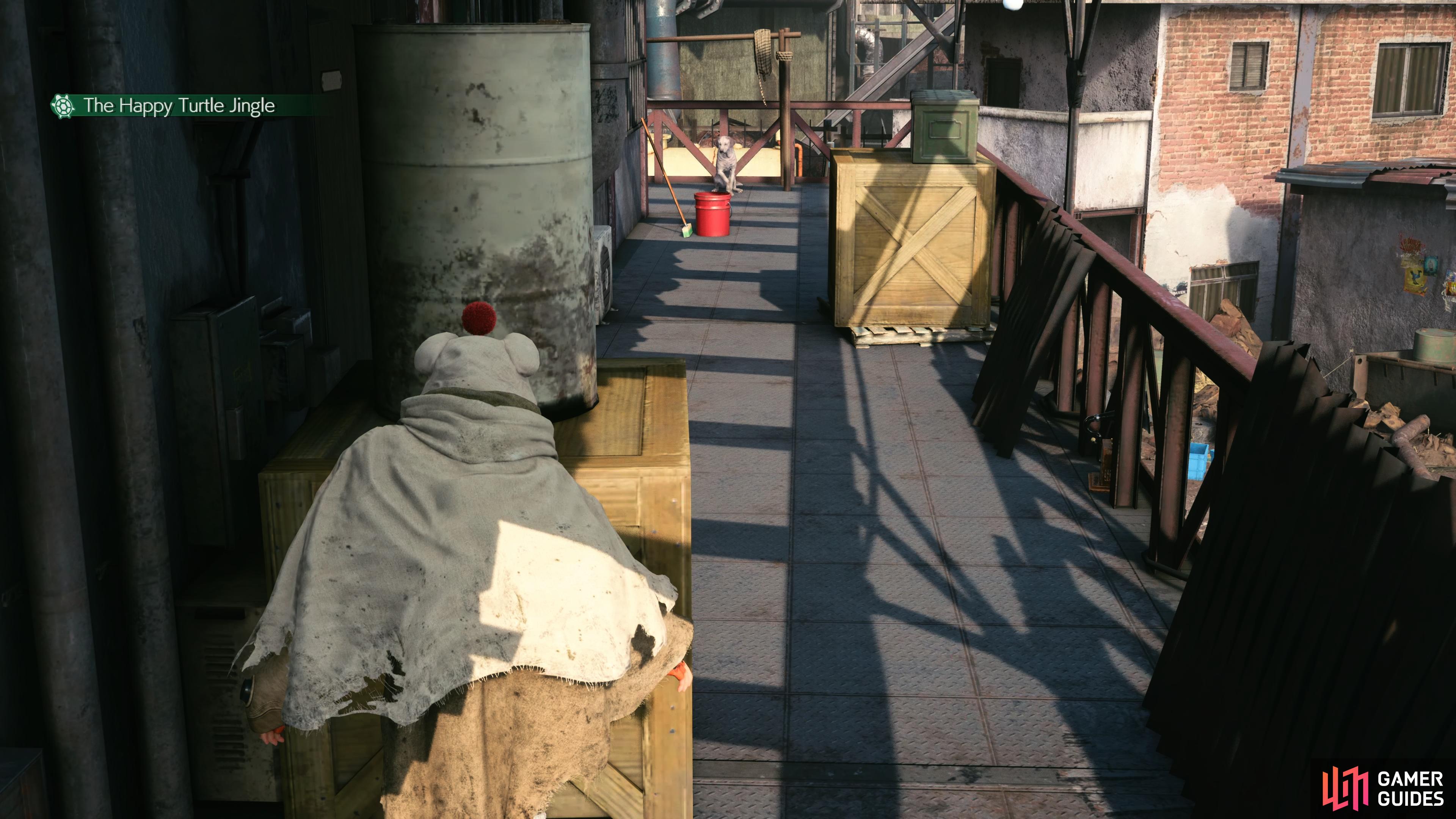 Hide behind the crates while the dog is awake