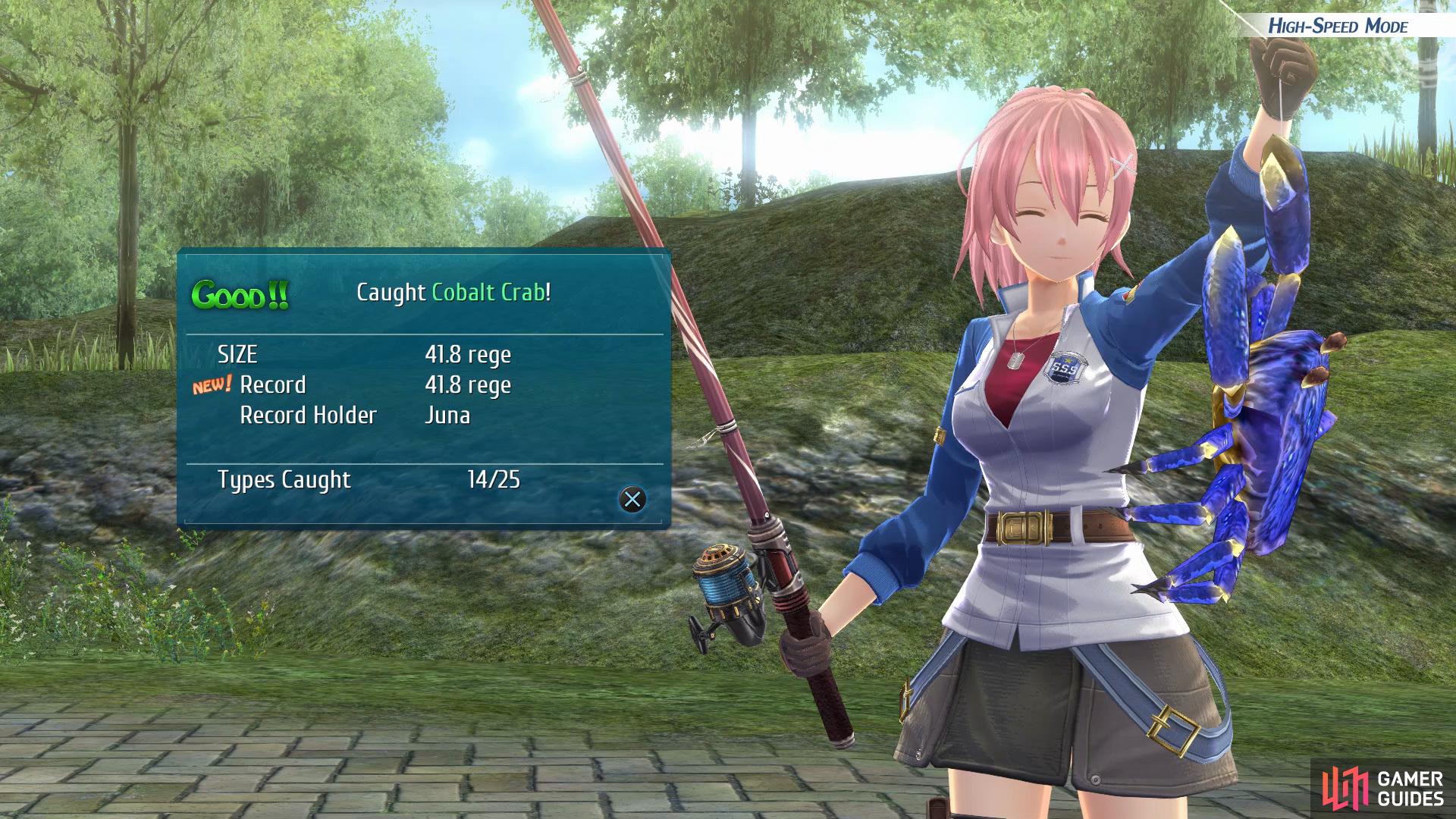 then go to Ursula Road 1 and get Juna to catch a Cobalt Crab to acquire the case needed to complete the quest