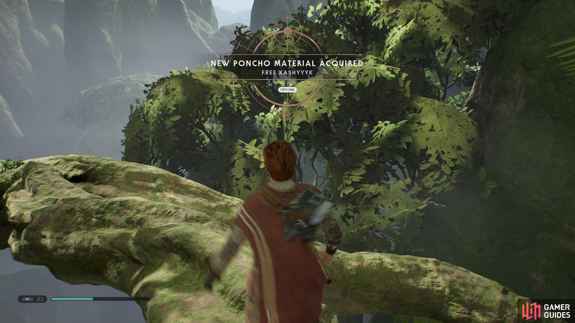 Get the Free Kashyyyk Poncho from the Chest on the branch