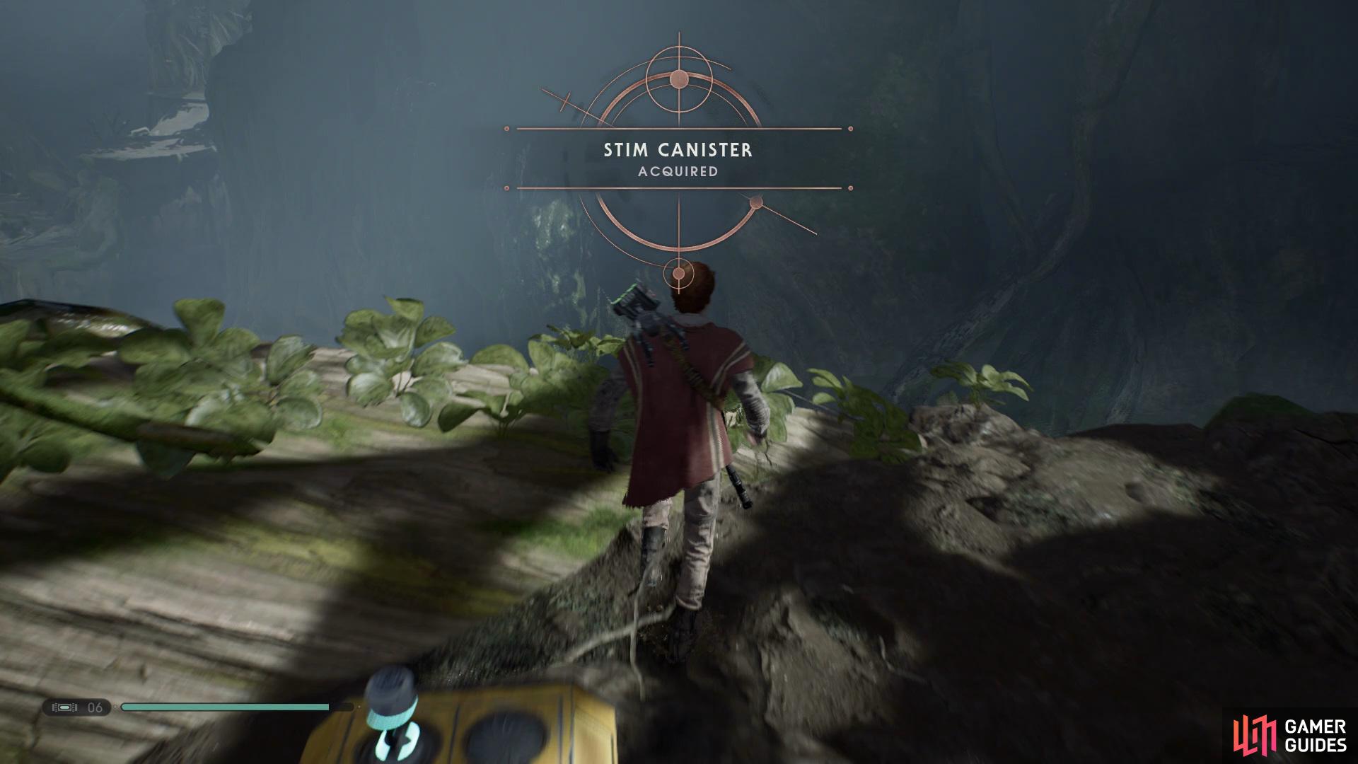 Use the Lung Flowers to bounce to the platform behind to get a Stim Canister.