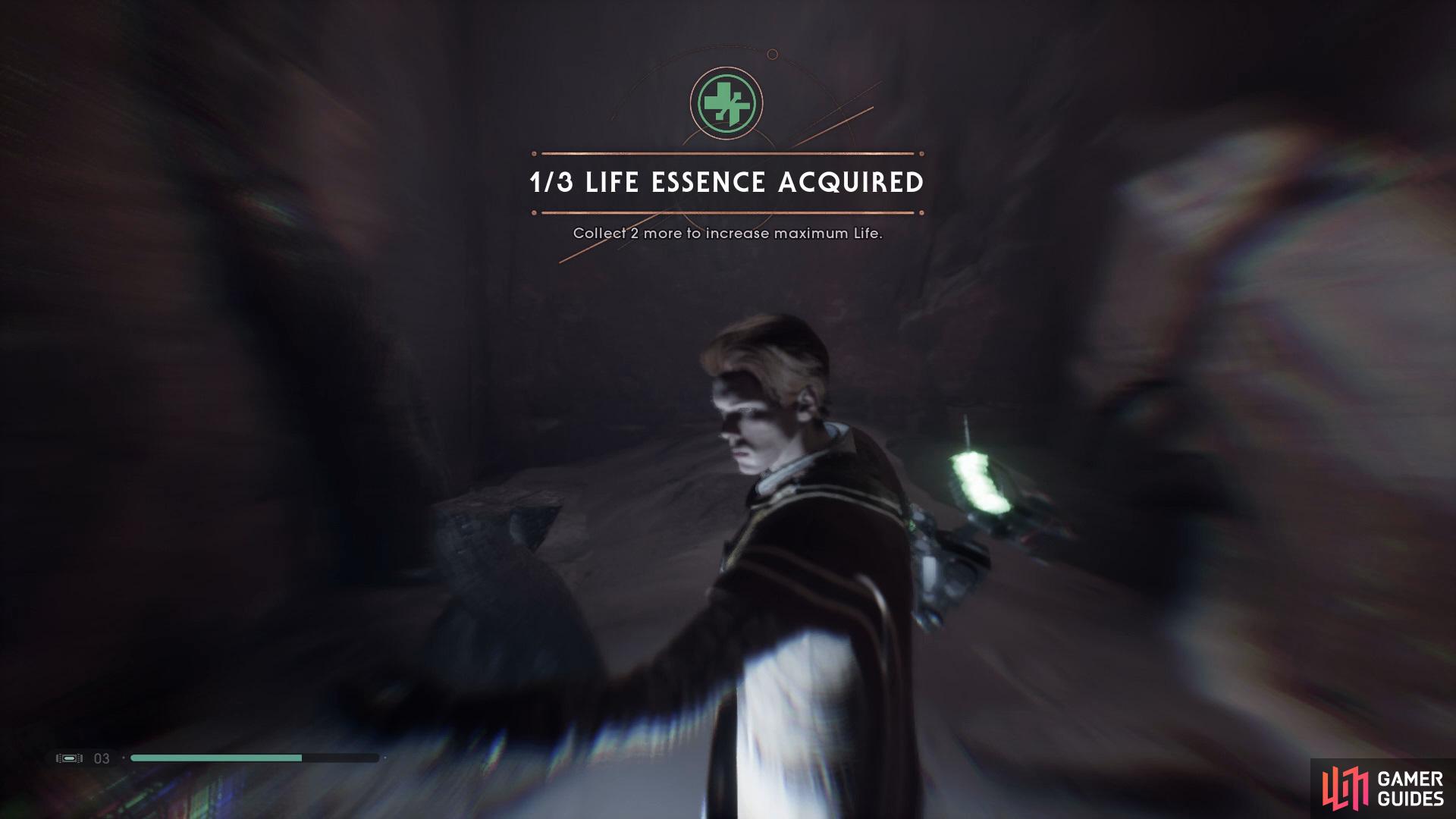 and then climb up to find a Life Essence