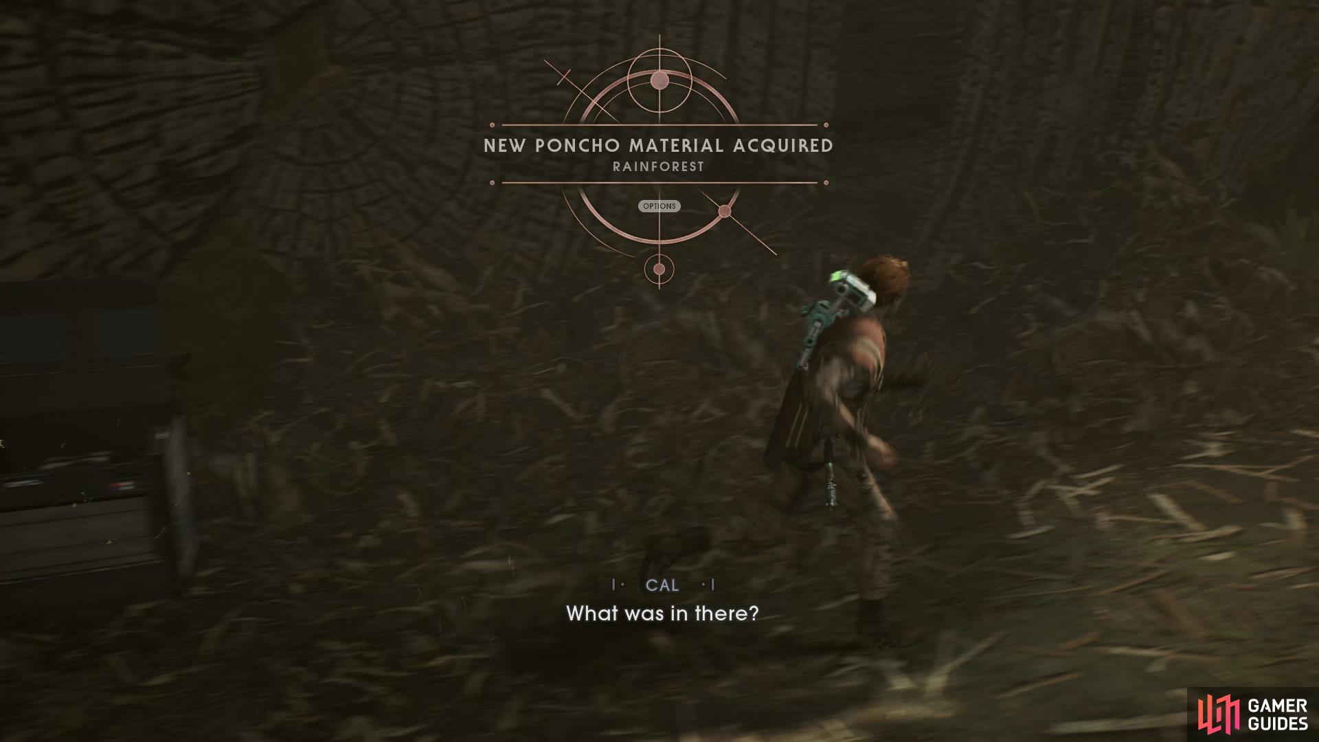 Collect the Rainforest Poncho from a Chest in the woodland ahead of the Cargo Pad
