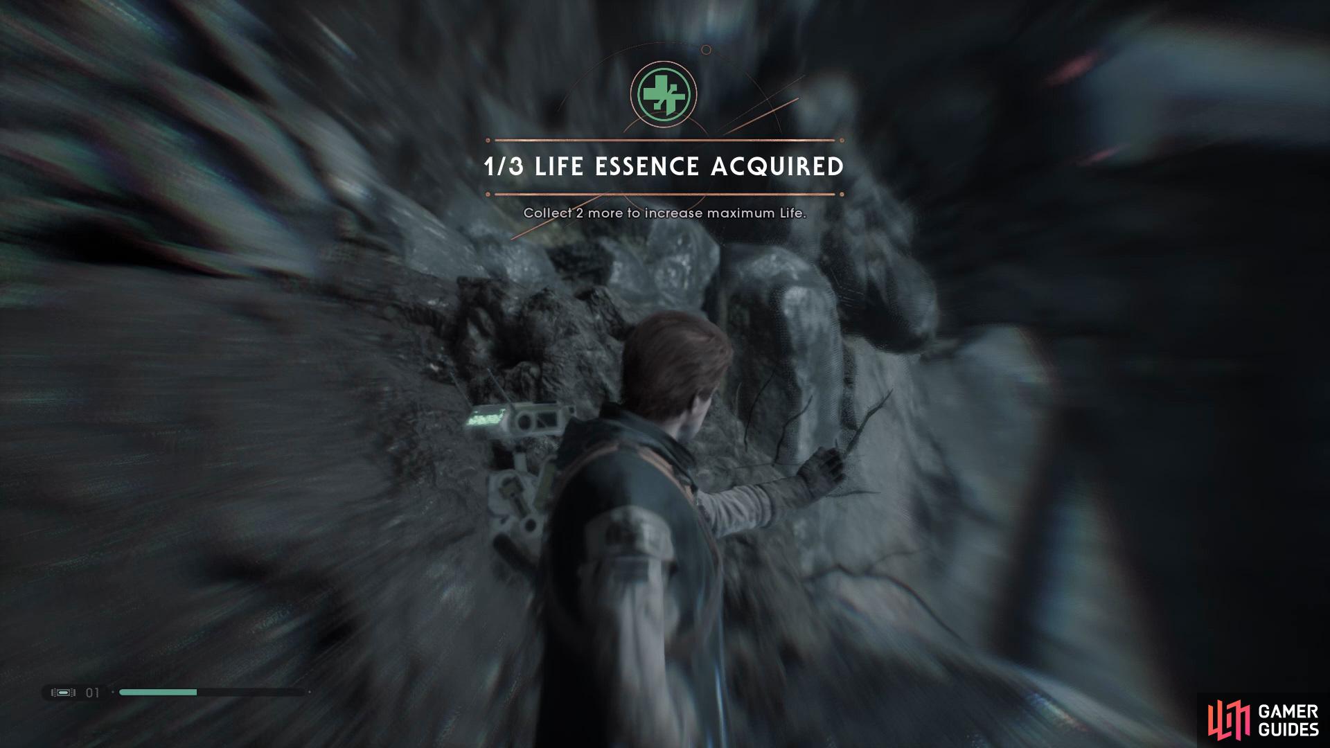 to find a Life Essence. 