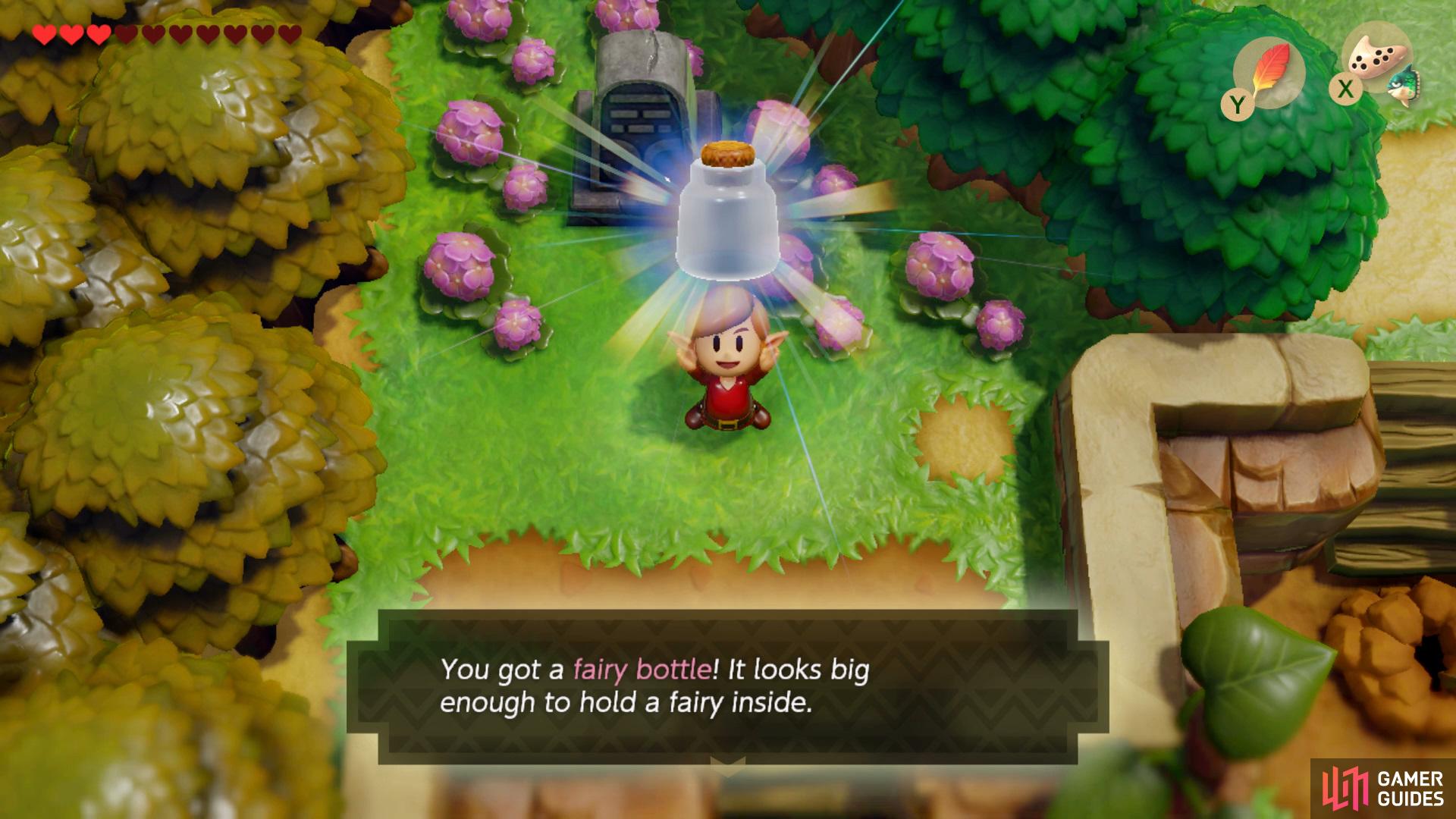 and collect your Fairy Bottle for your reward.