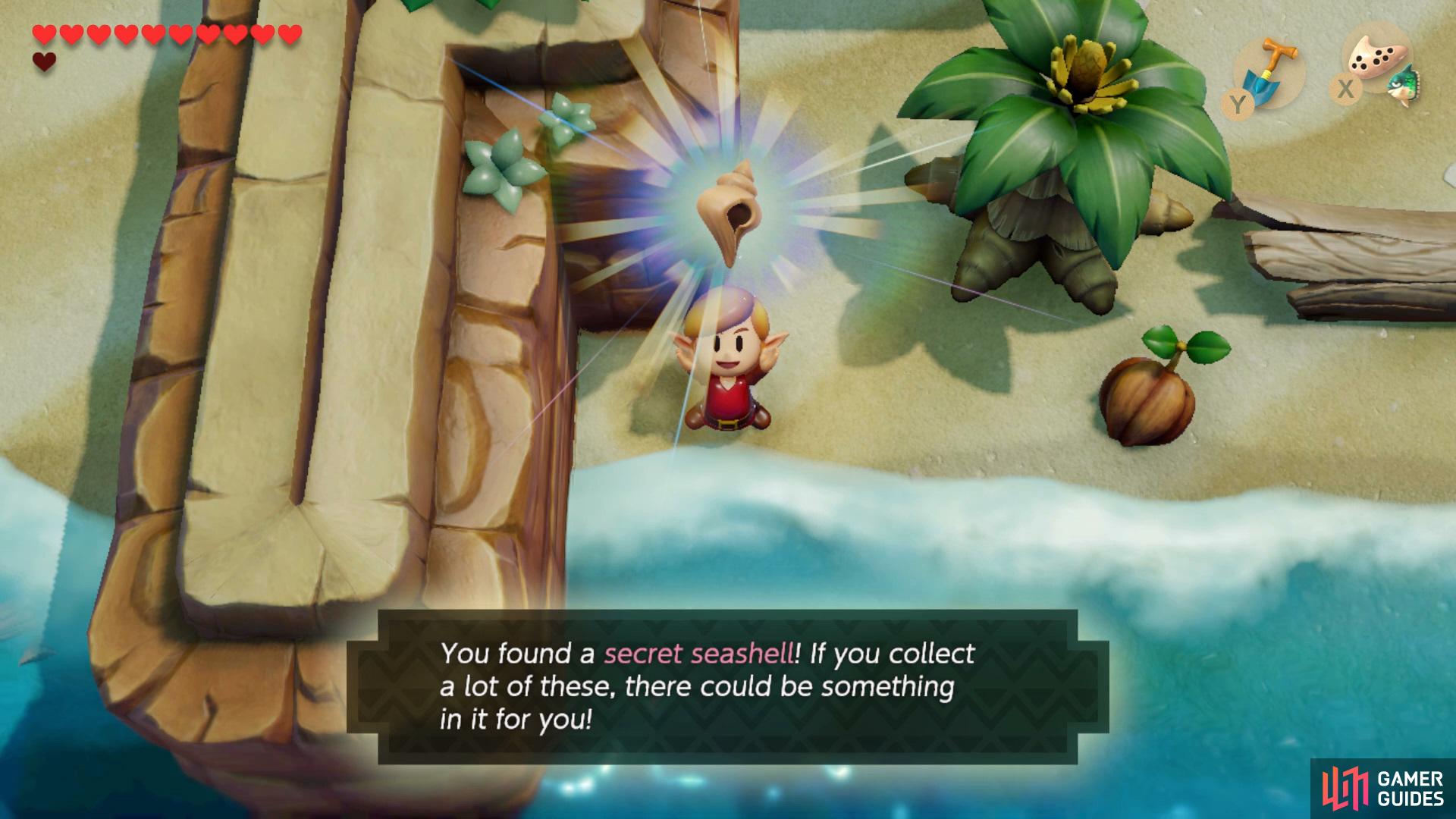 Go to the bottom right of Tonrobo Shores and dig around the tree for a Secret Seashell.