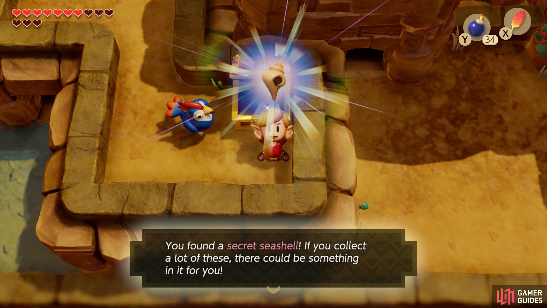 and open the Chest for a Secret Seashell.