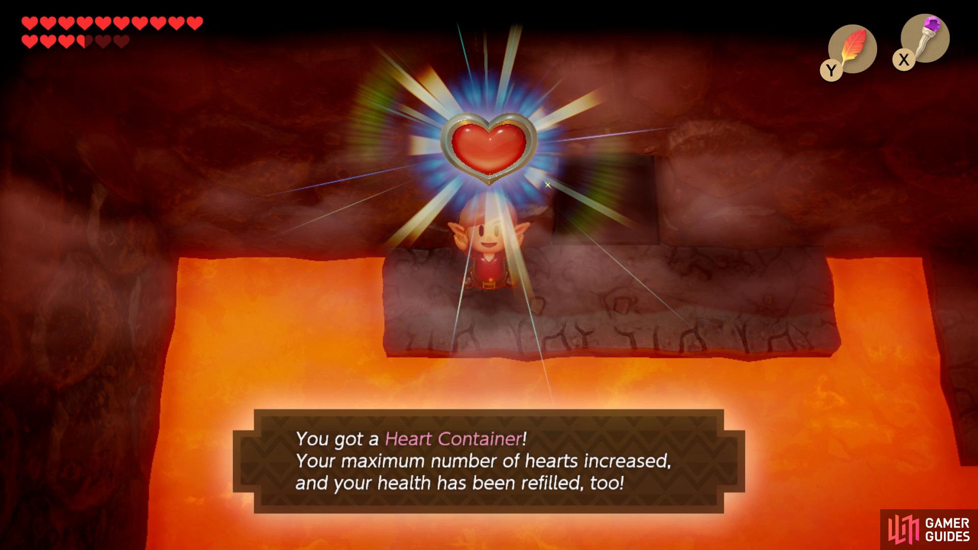 after the Hot Head has been defeated collect the Heart Container from the back of the room.