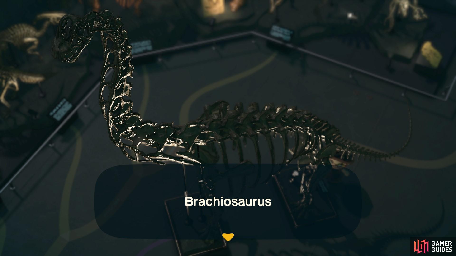 The Brachiosaurus is made up of several parts.