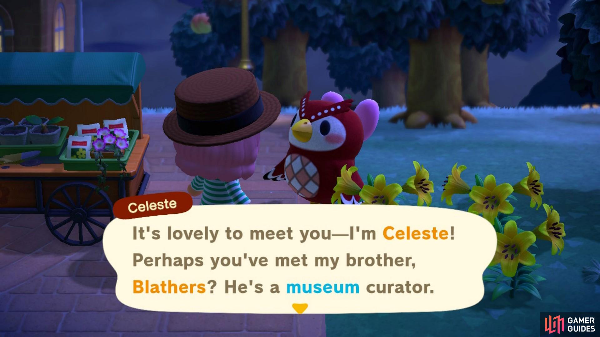 Celeste is Blathers' sister! 