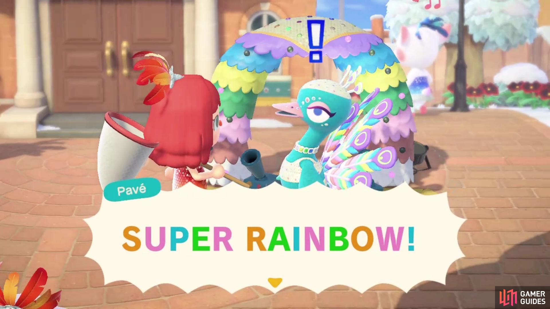 The rainbow feathers make Pavé quite excited.