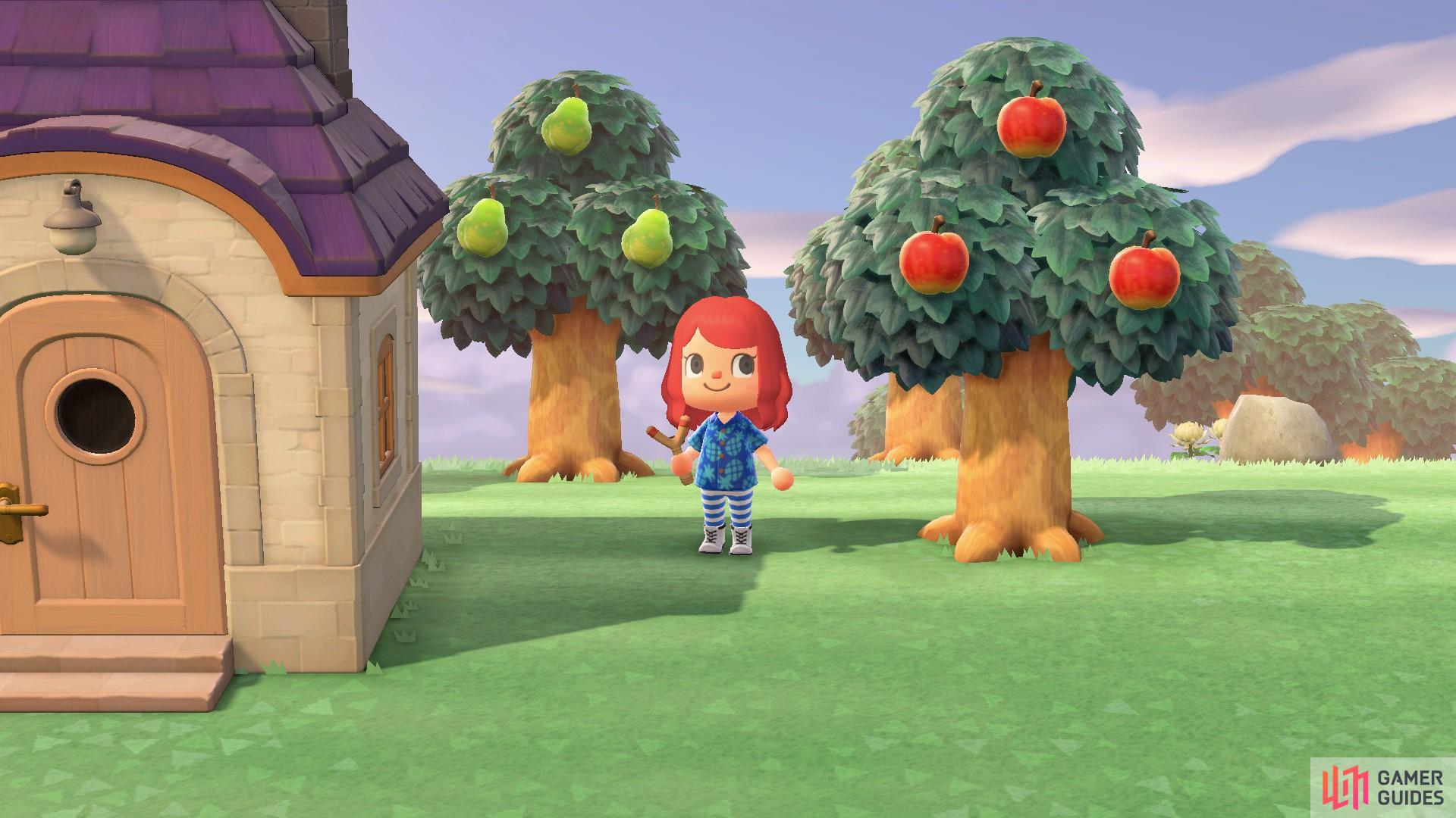 That pear tree is worth 1,500 bells on this island!