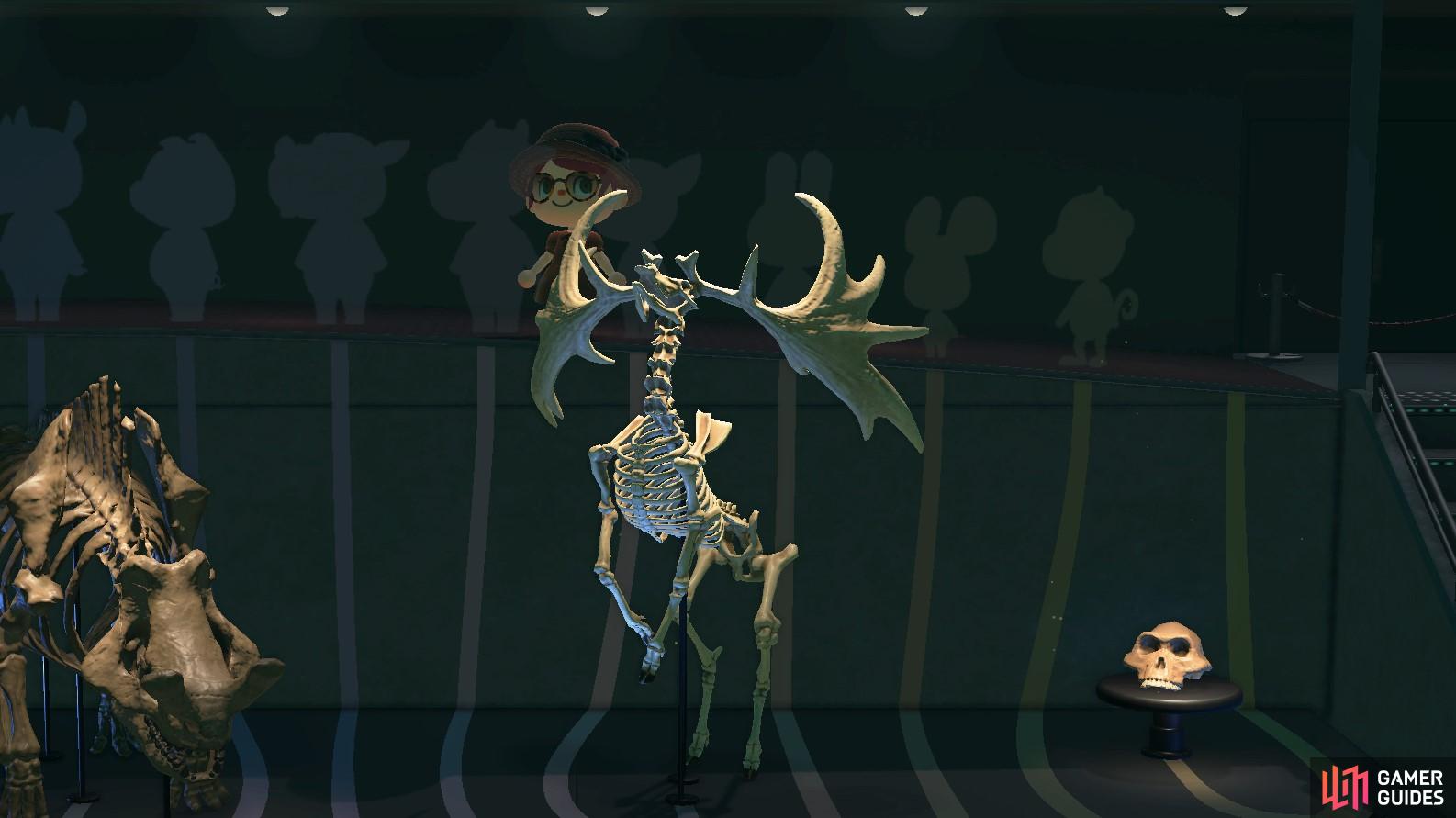 The Megaloceros is a part of the exhibition displaying ancestors of villagers. 
