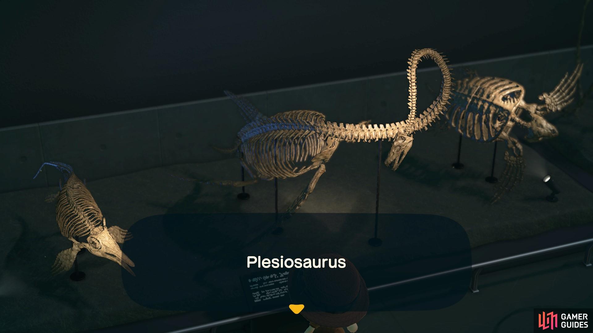 The Plesiosaurus is a prehistoric sea creature as well.