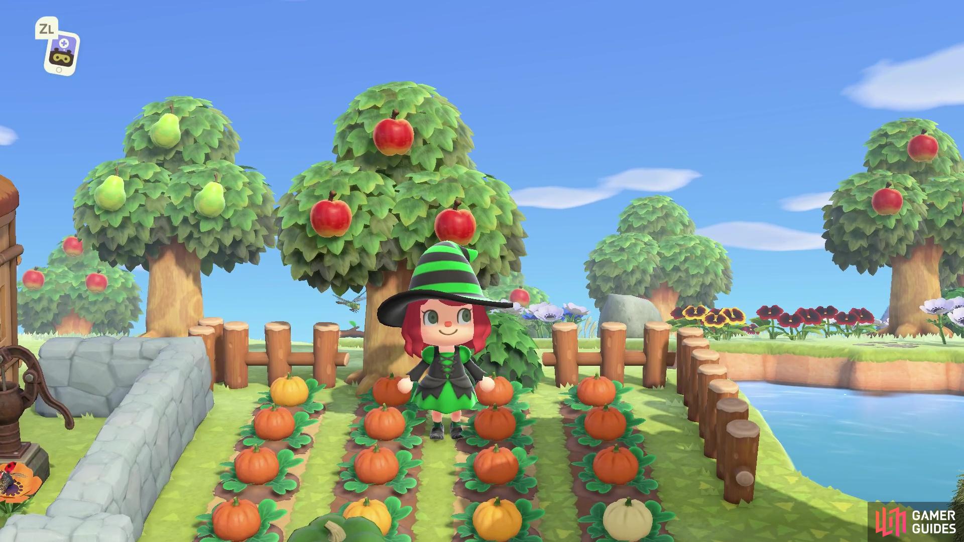 It's time to plant some pumpkins ahead of Halloween!