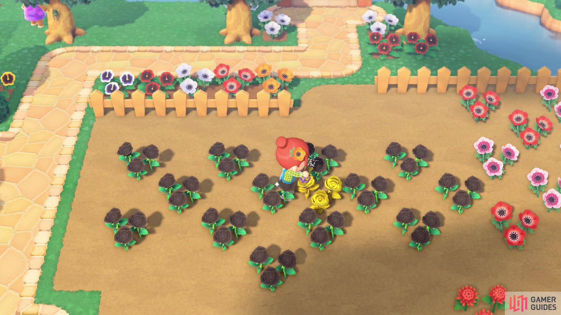 You will get all sorts of fun new flower variations if you water them!
