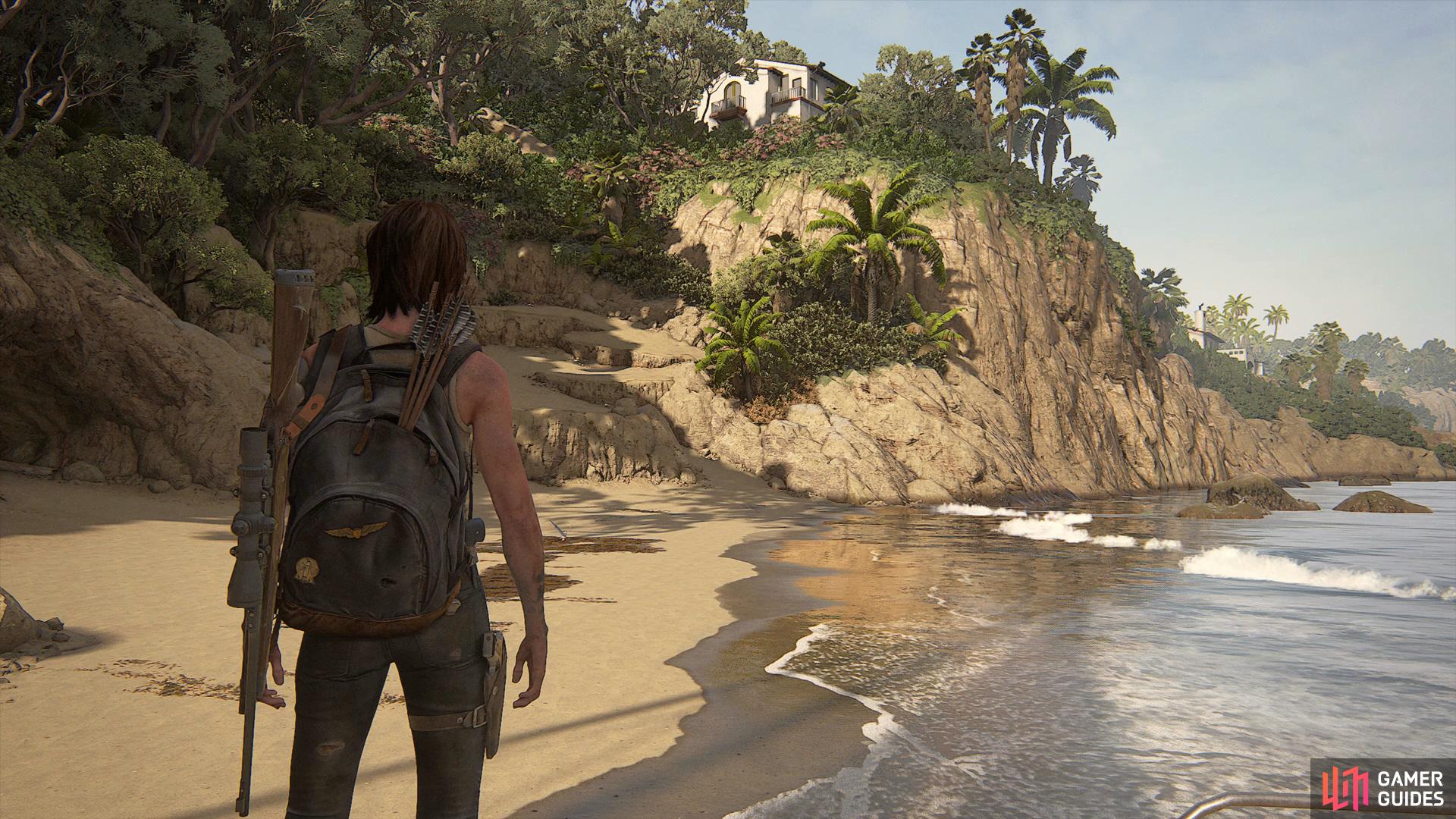 Last Of Us 2  The Beach - Santa Barbara (Ellie) Story Walkthrough
