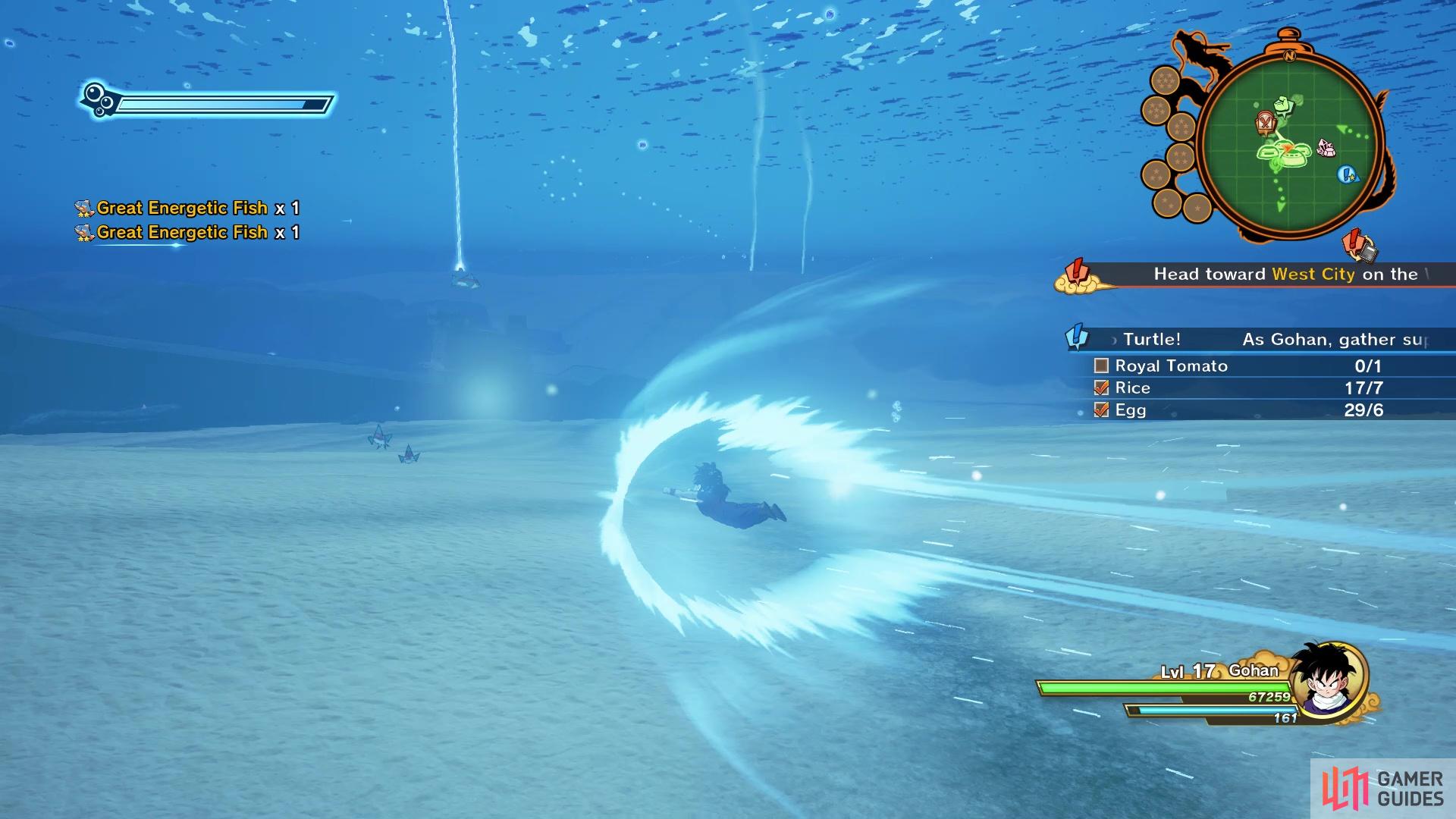 Collect the glowing items underwater near the NPC to get the fish