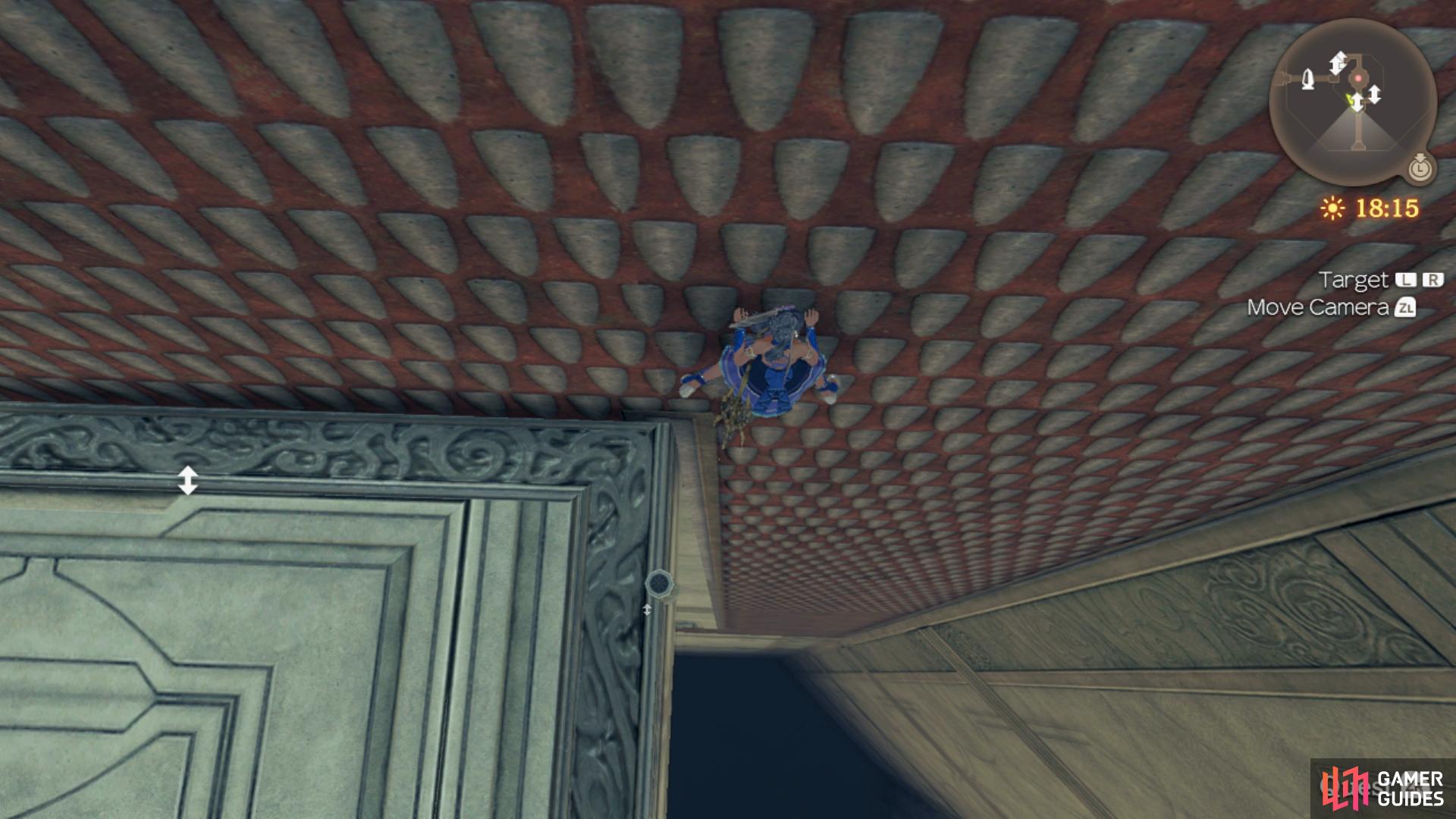 climb down the wall at the Tower of Trials in the High Entia Tomb.