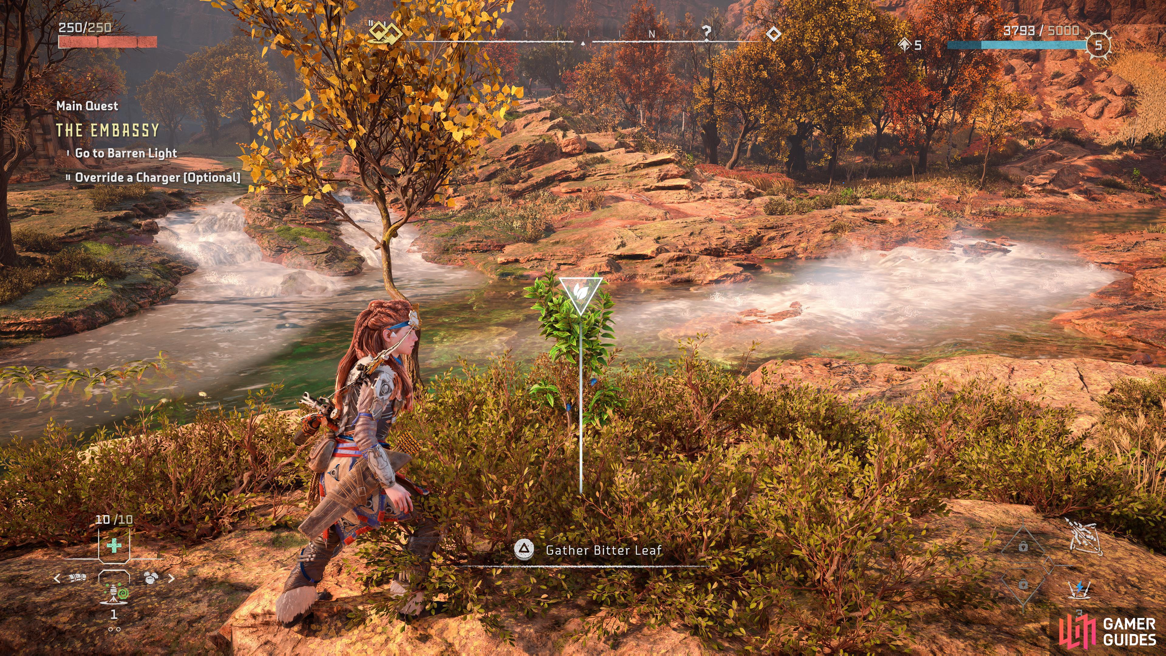 Head Northeast of Chainscrape to find Bitter Leafs by the water
