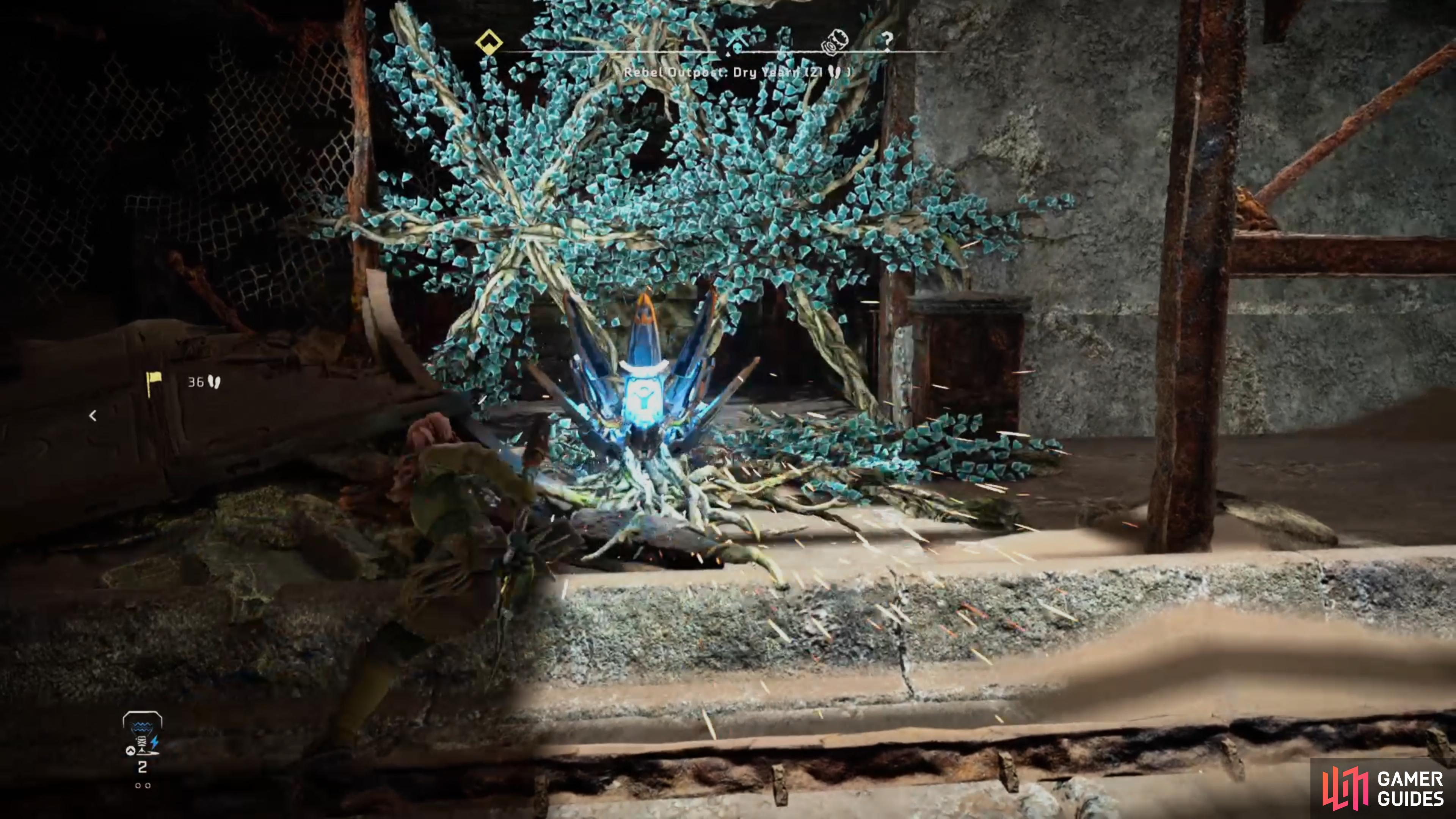 Destroy the Metal Flower to gain access to the crate