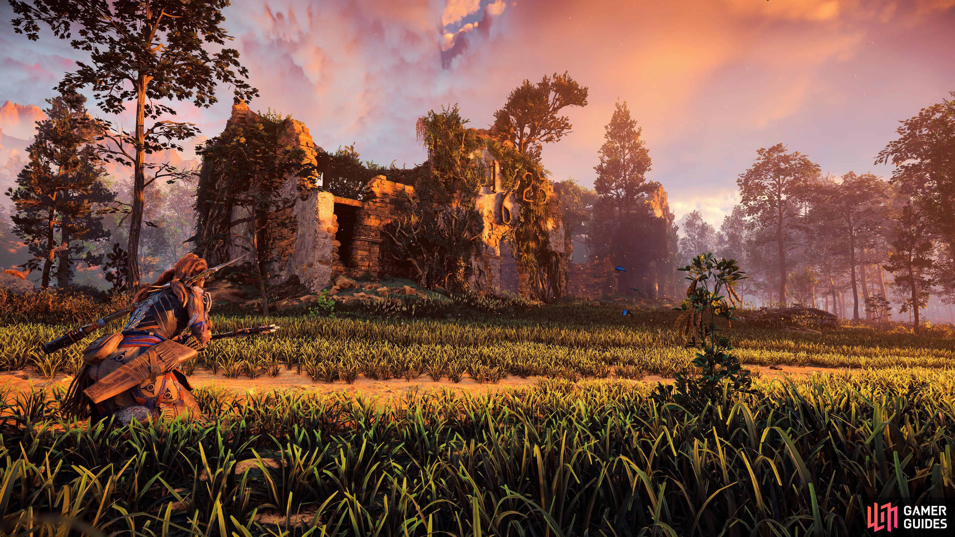 Aloy overlooks The Restless Weald Relic Ruin.