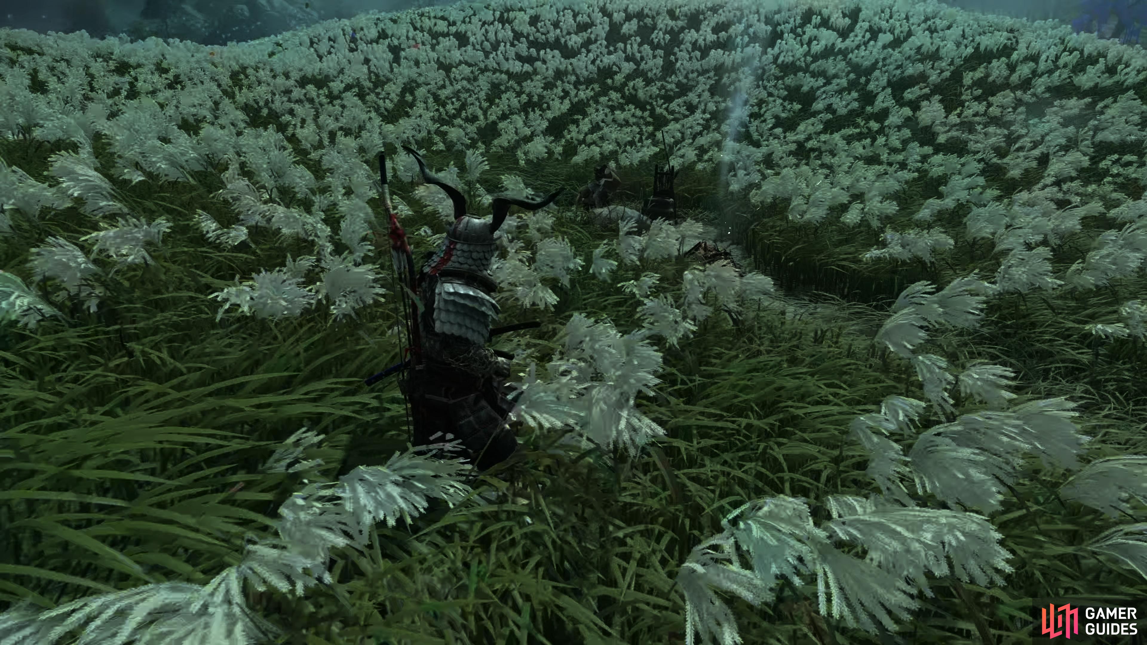 he'll be in the field here requesting Predator Hides