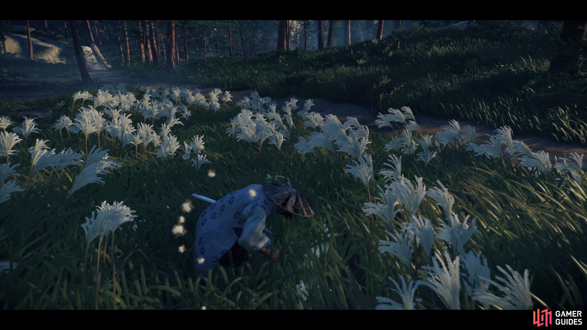 then hide in the tall grass until the bandits arrive.