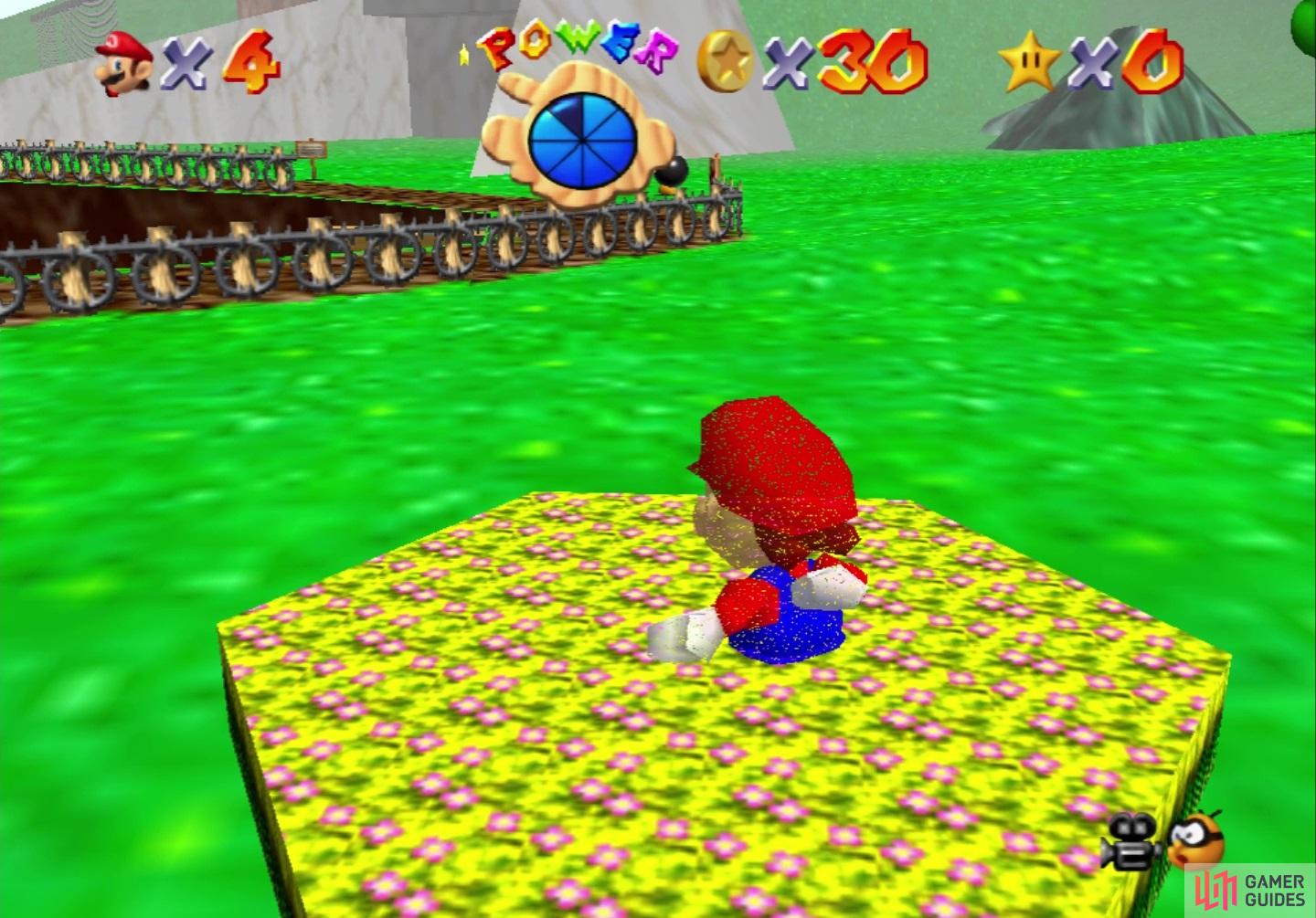 This flower patch can be used as a teleport to get across the course