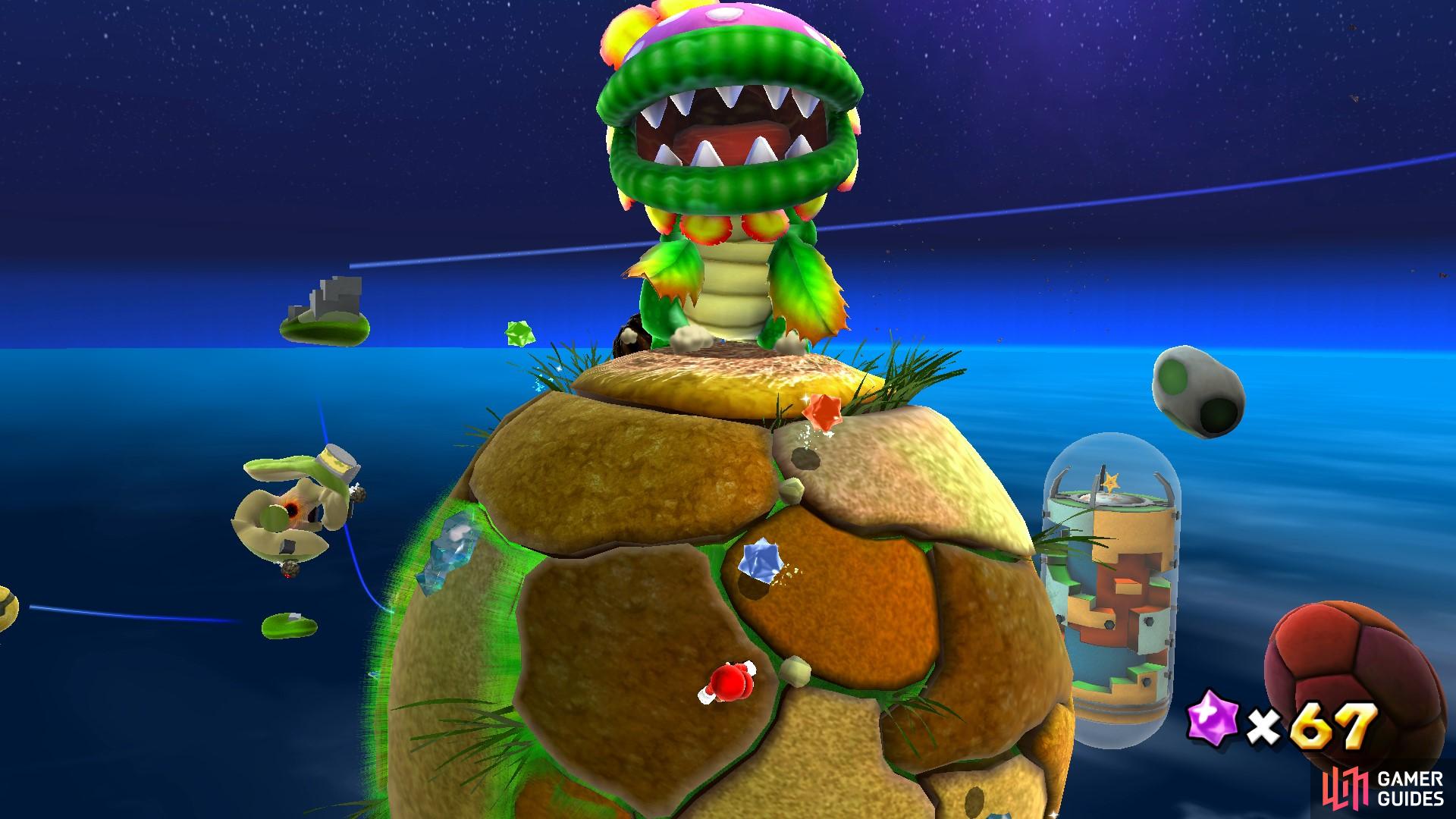 The Dino Piranha will run at Mario to bite him.