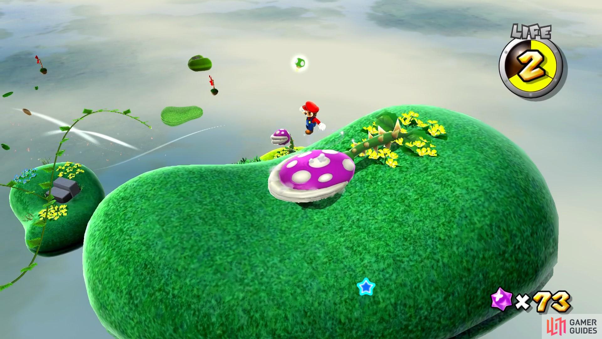 The Spiny Piranha Plant requires a bit of work to defeat it!