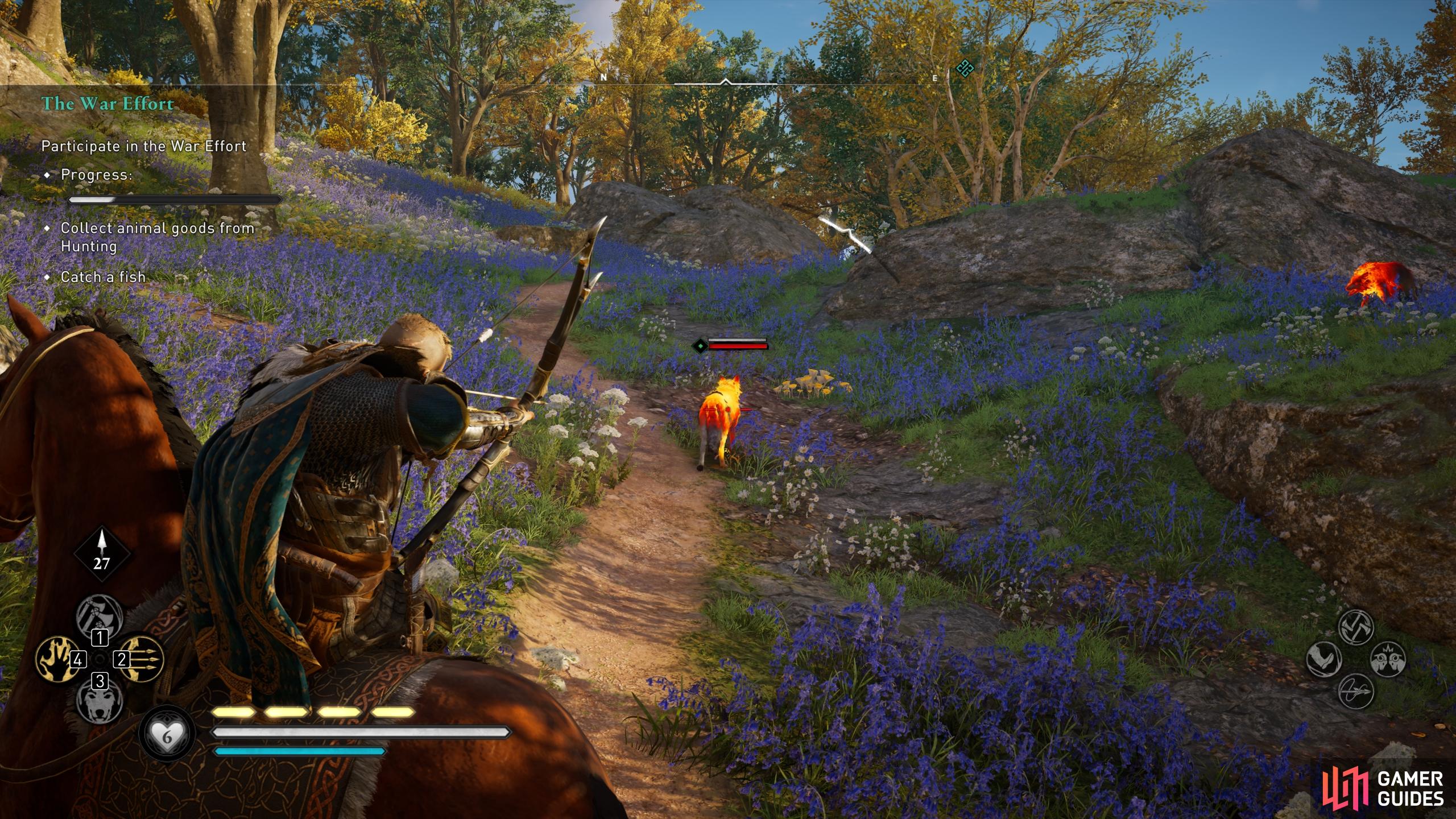 You can kill and loot the wolves in the woods east of Ravensthorpe to collect animal goods.
