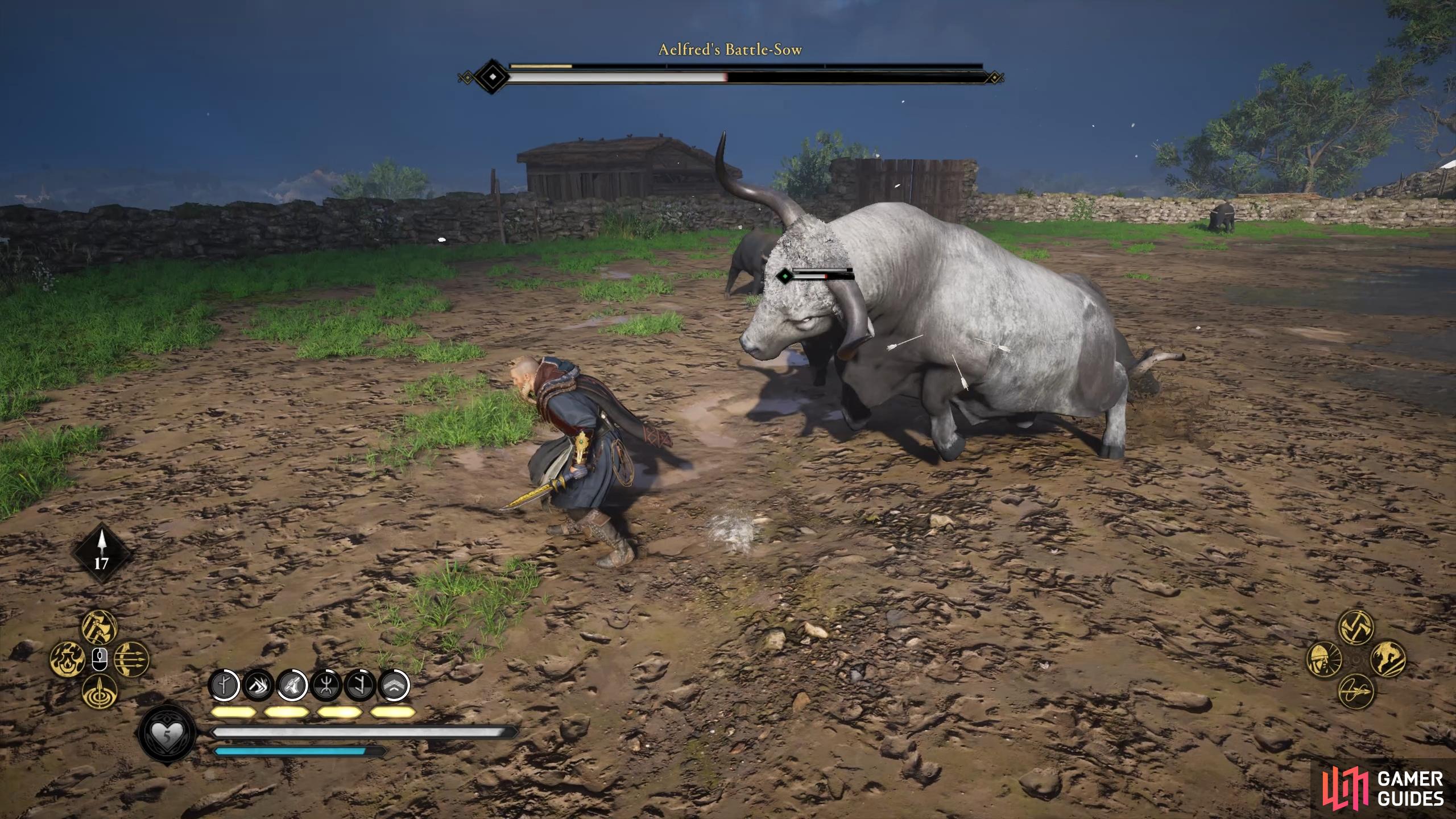 When the Battle-Sow initiates its chain headbutt attack, you're better off running than dodging.