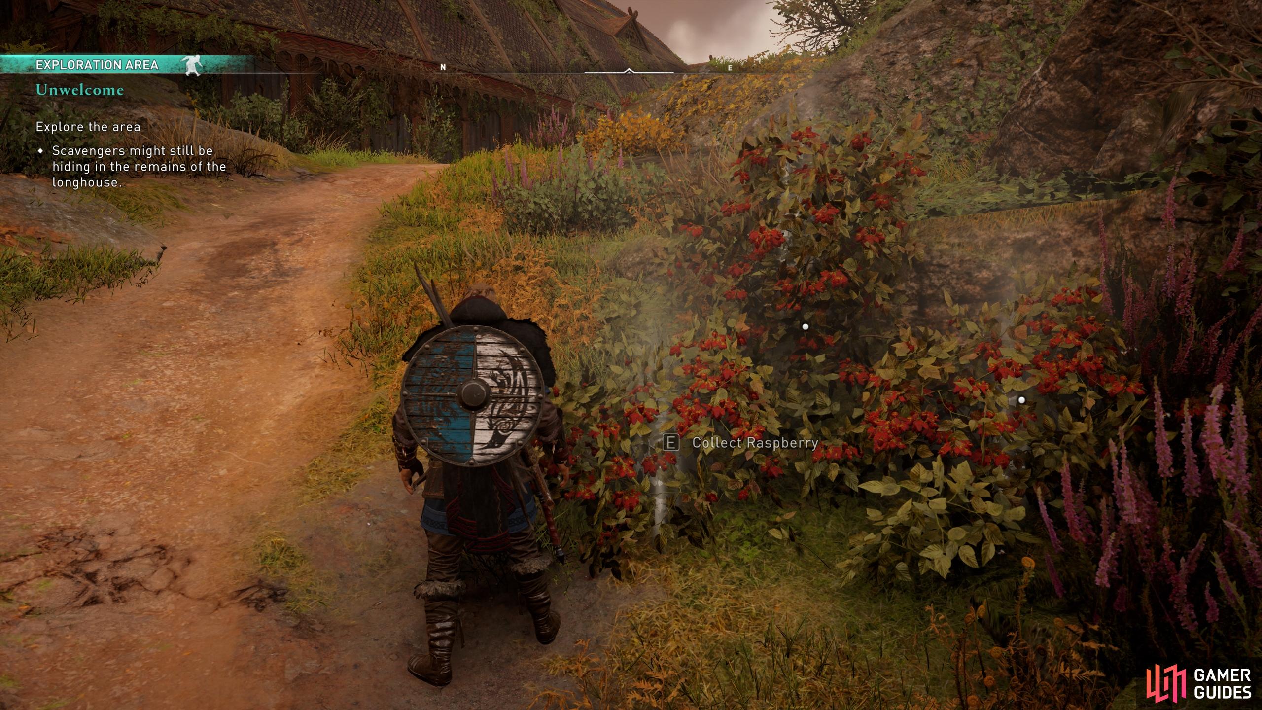 If you need to replenish health during or after the fight, restock on rations from the nearby bushes.