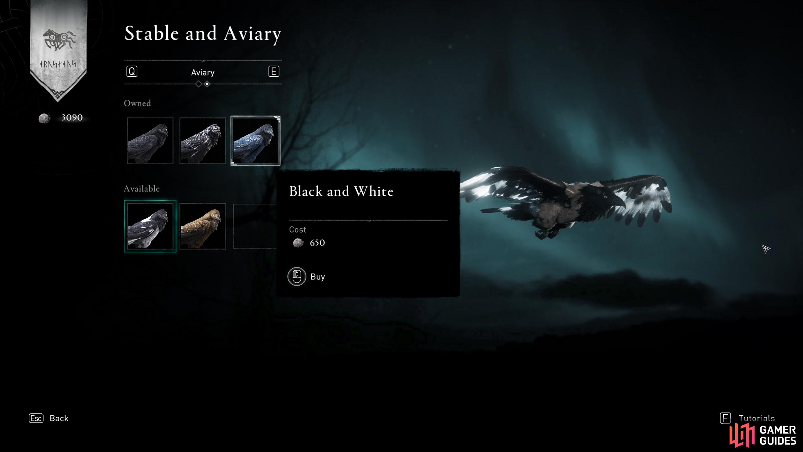 You can customize your raven and mount using the stable and aviary.