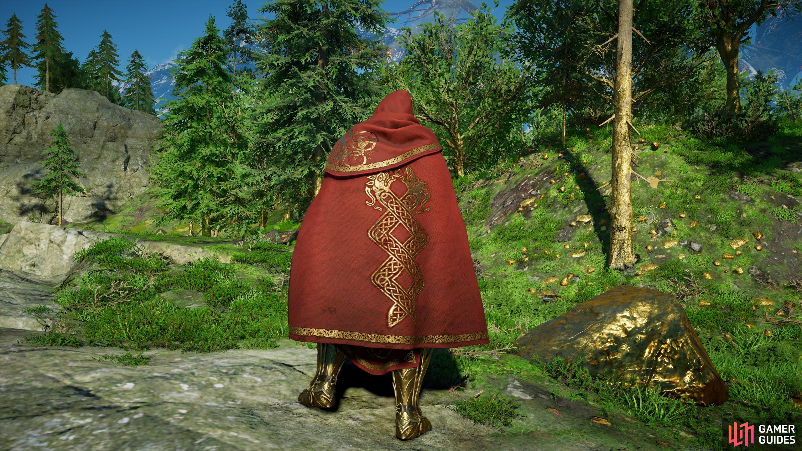 Hreidmar's cloak.