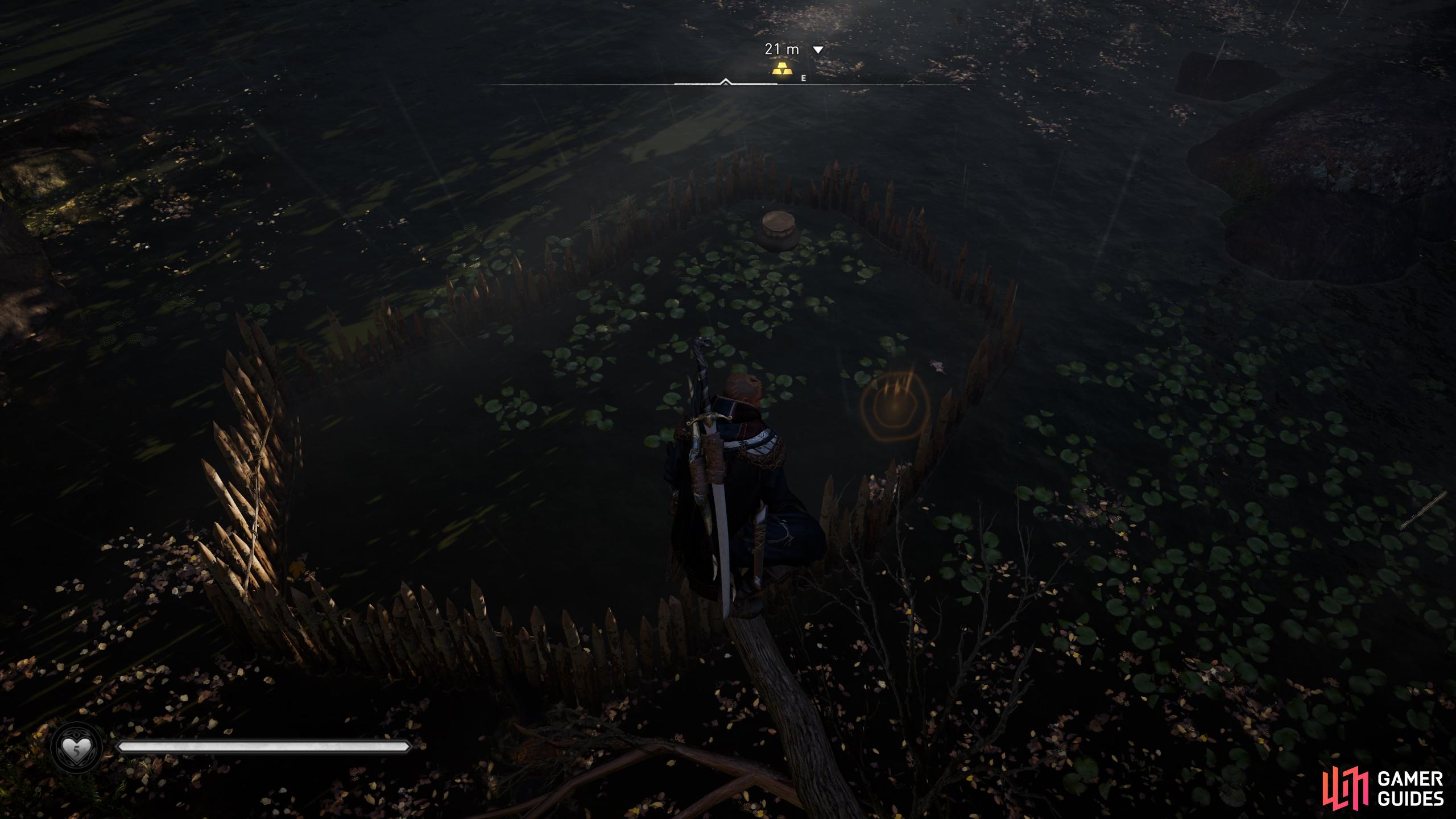 To access the chest, jump into the water from a tree branch above.