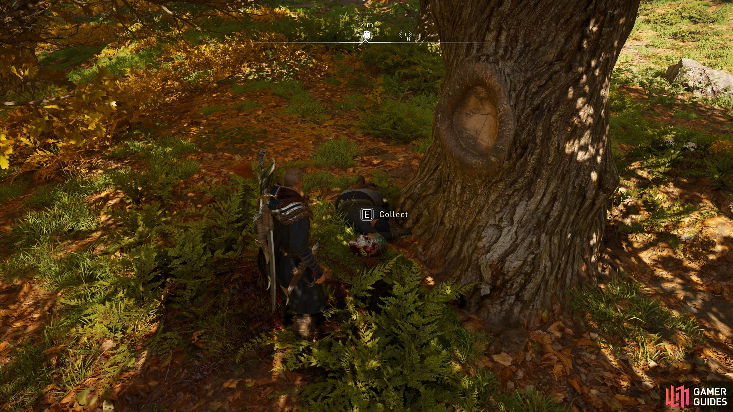 Youll be able to loot the artifact from the ground, lying beneath a tree.