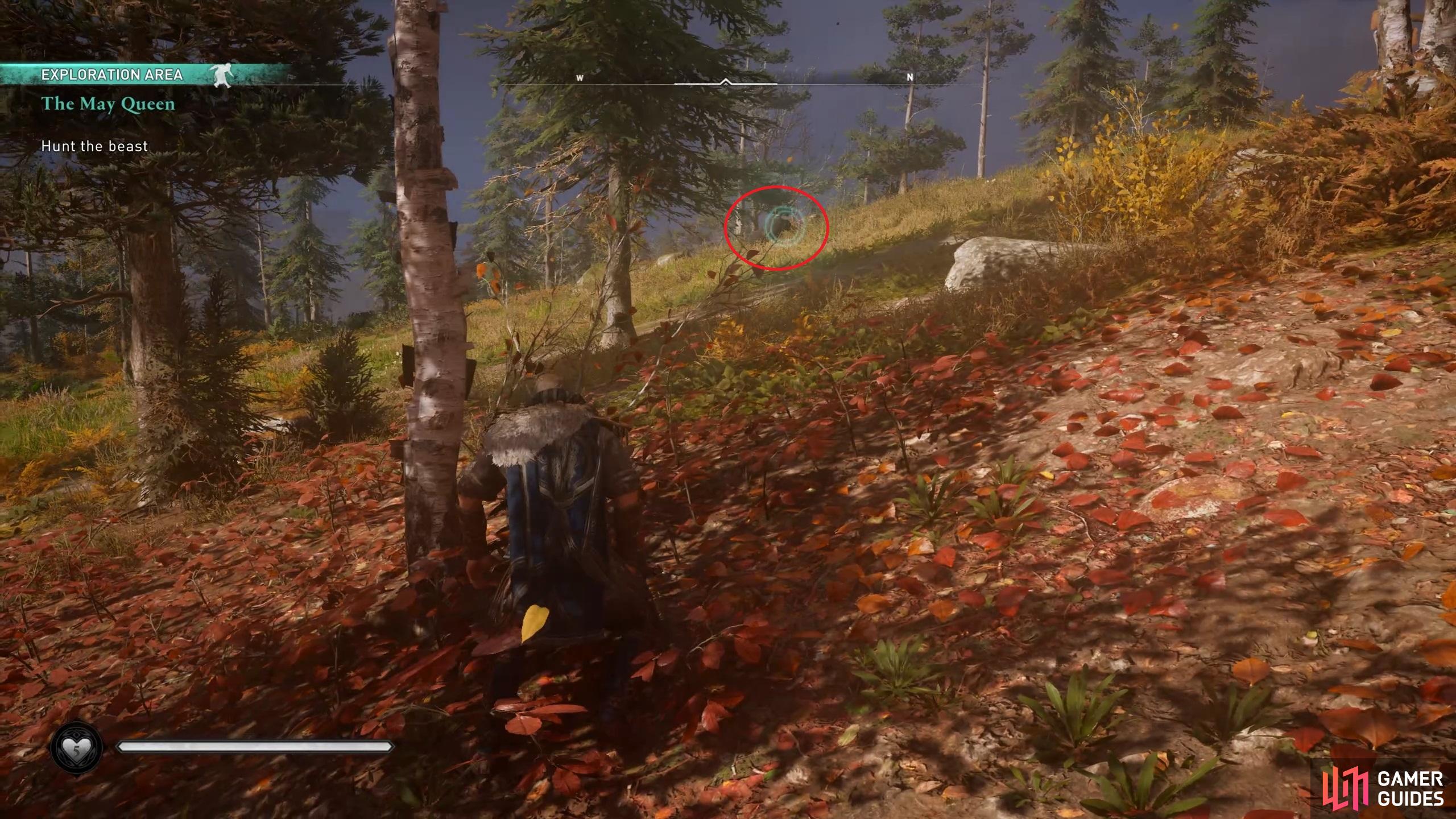 Use Odins Sight to highlight the corpse of the bear in the northwest of the forest.
